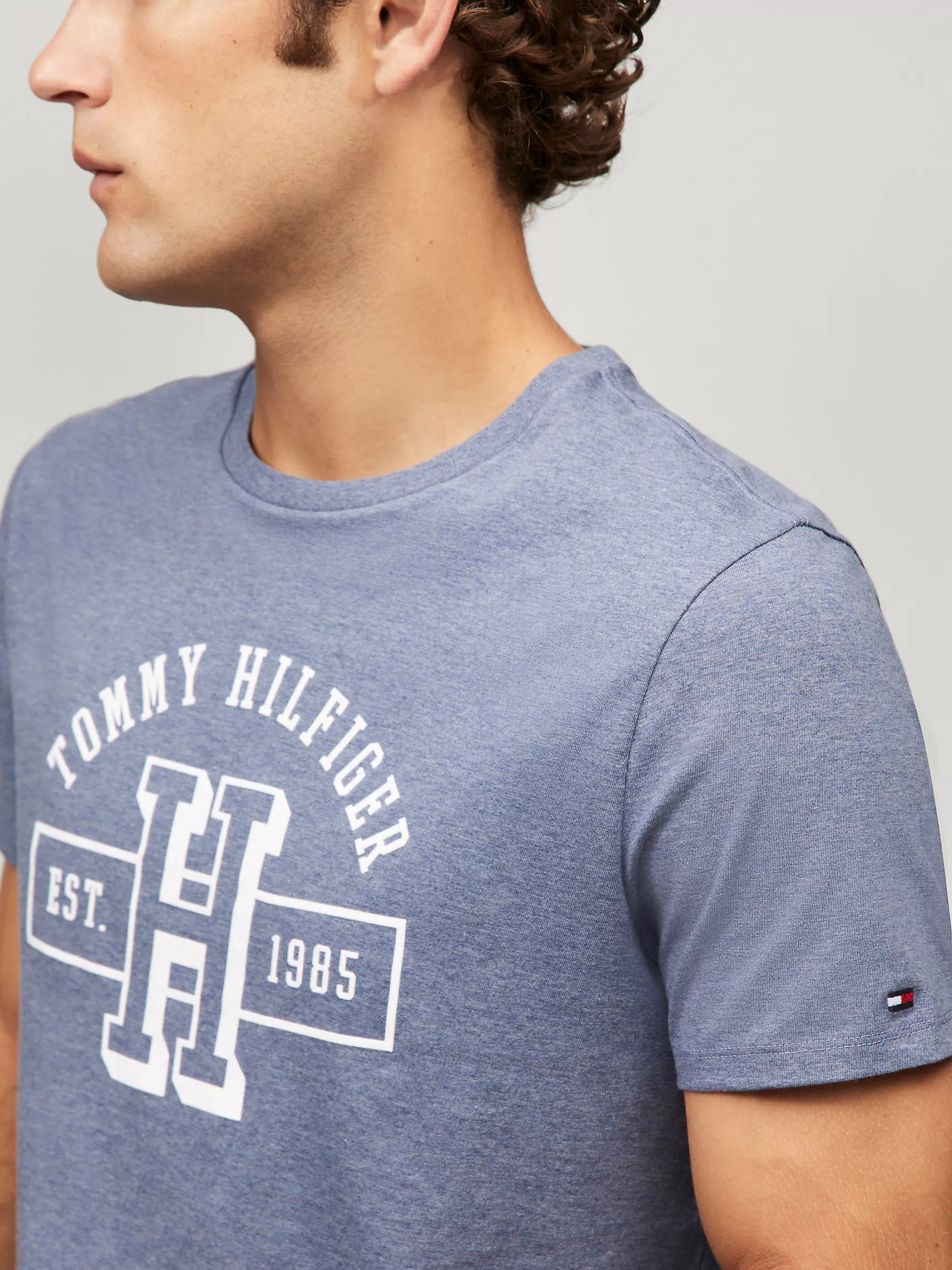 Мужская футболка Tommy Hilfiger, Футболка с логотипом Hilfiger Established