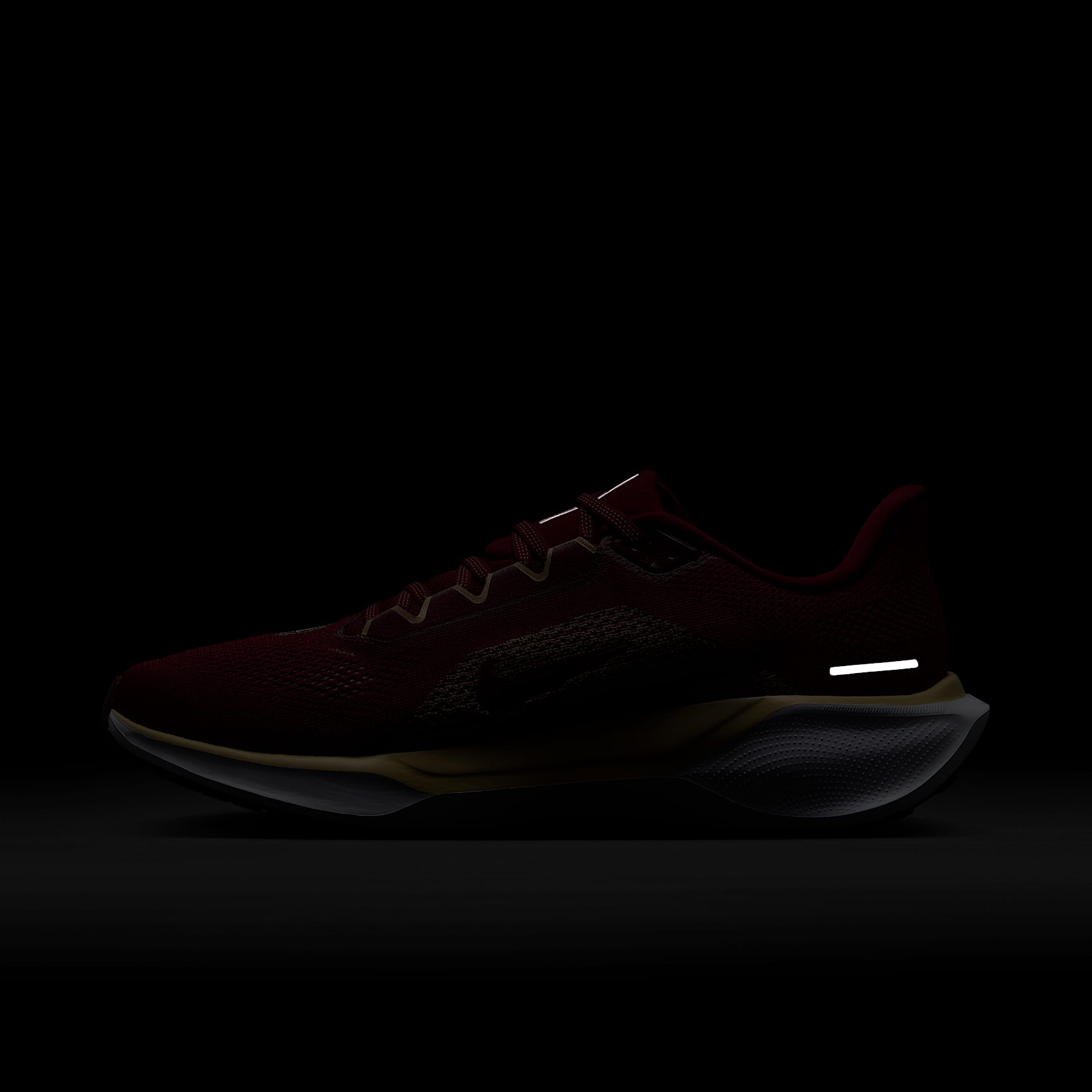 Florida State Pegasus 41 Men's Nike College Road Running Shoes