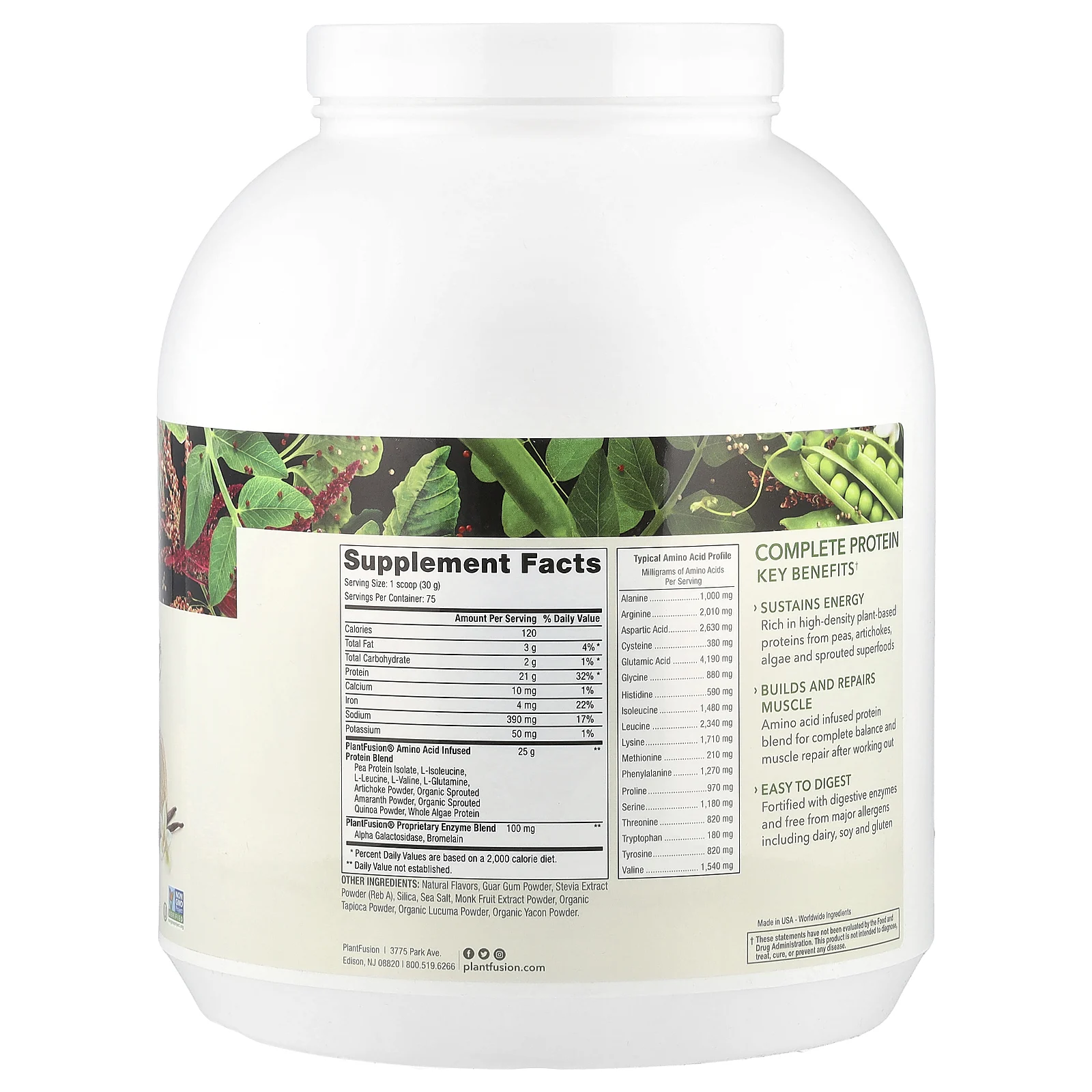 PlantFusion, Complete Protein, сливочные стручки ванили, 2,25 кг (5 фунтов)