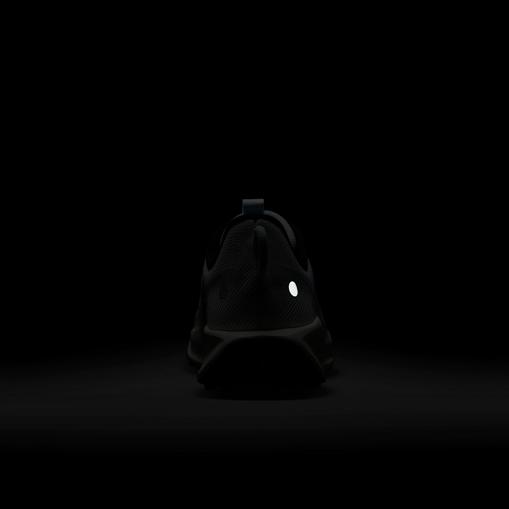 Nike Pegasus Trail 5 Men's Trail Running Shoes