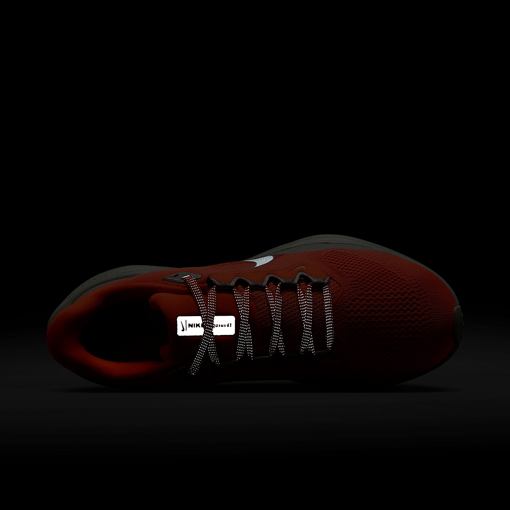 Nike Pegasus 41 PRM Women's Road Running Shoes