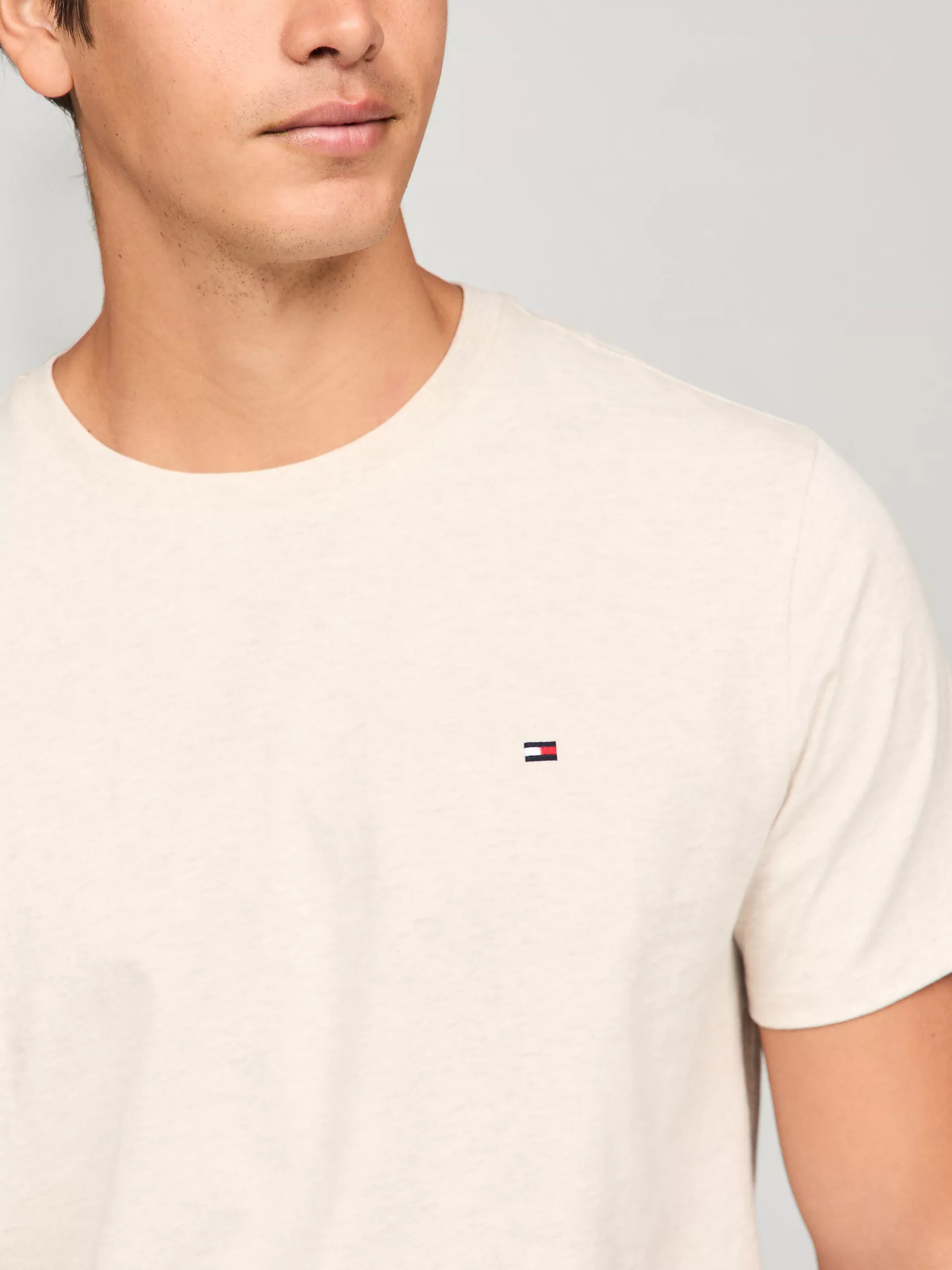 Мужская футболка Tommy Hilfiger, Повседневная футболка