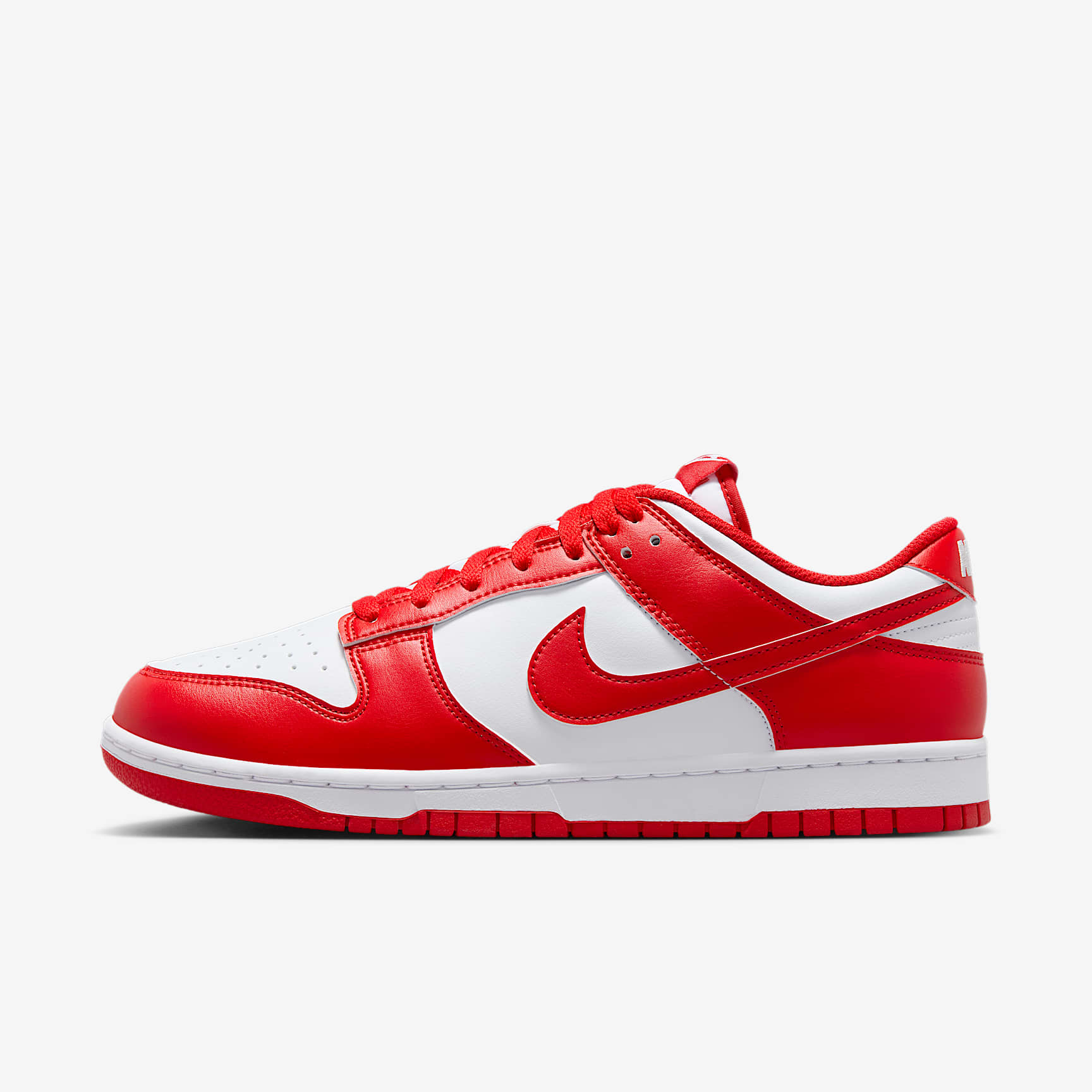 Nike Dunk Low Retro Men's Shoes