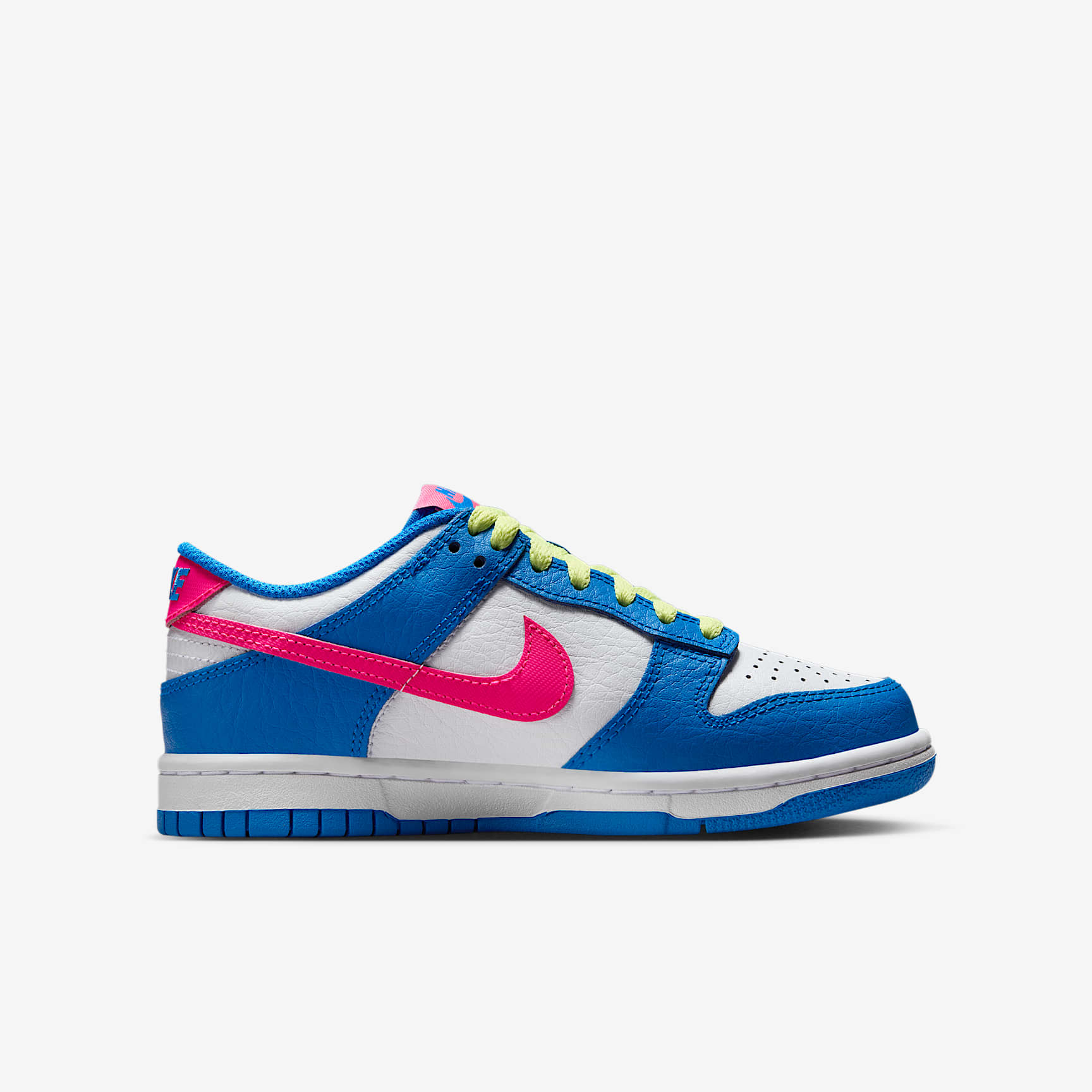 Nike Dunk Low Big Kids' Shoes