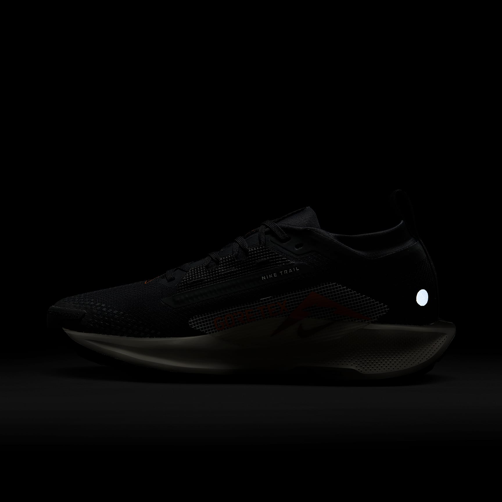 Nike Pegasus Trail 5 GORE-TEX Women's Waterproof Trail Running Shoes