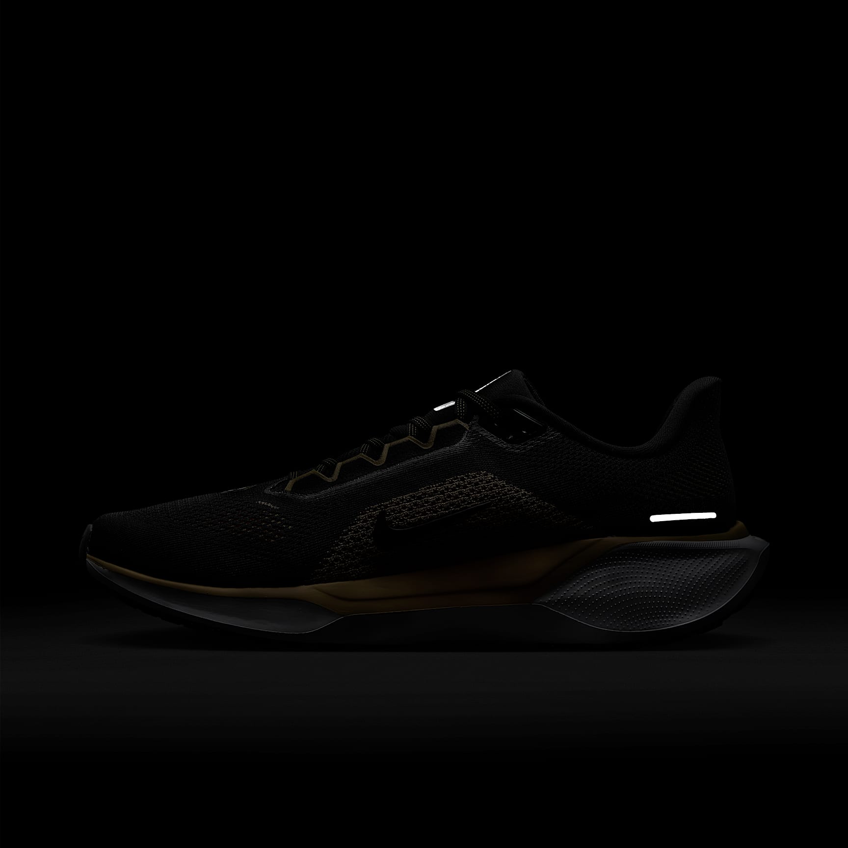 Missouri Pegasus 41 Men's Nike College Road Running Shoes