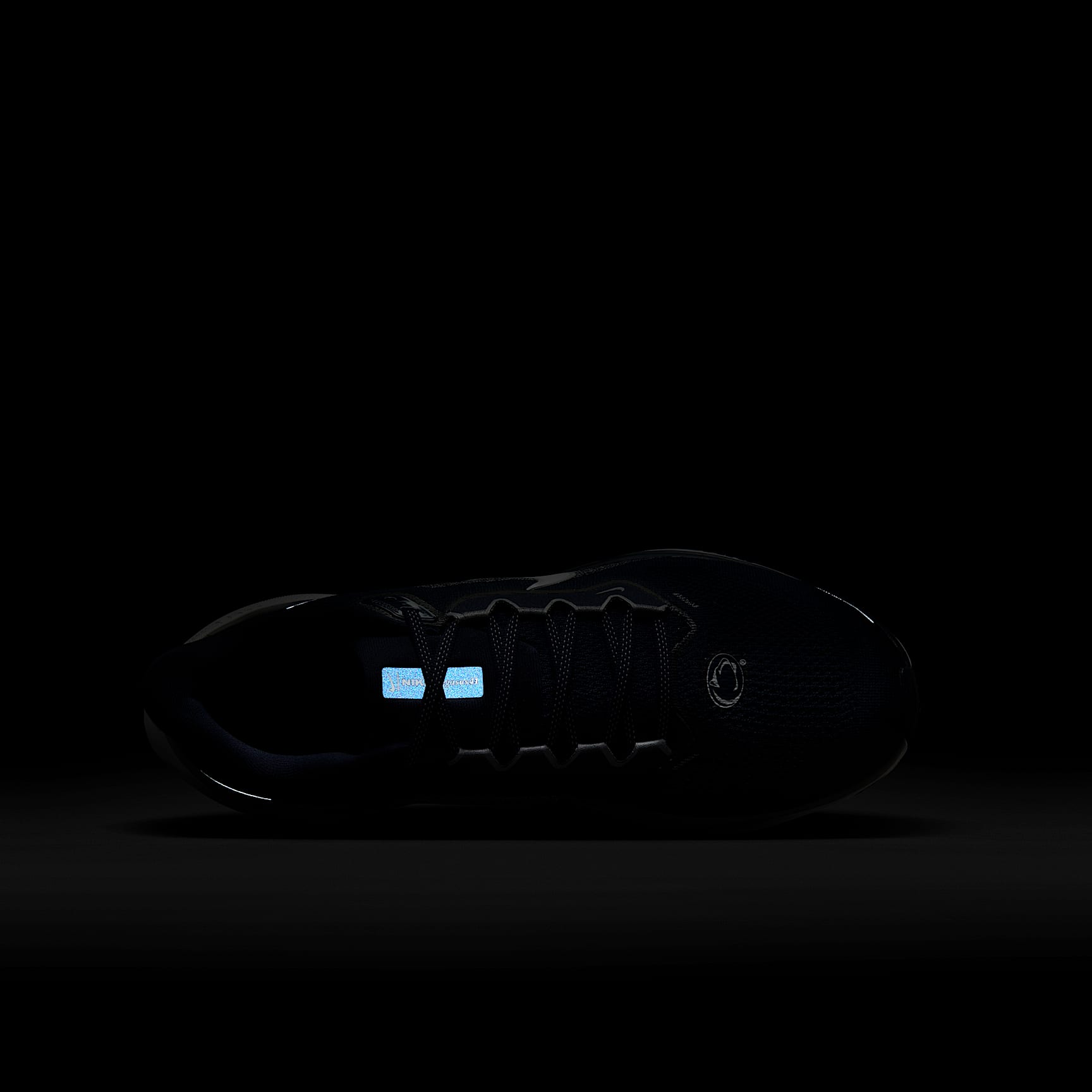 Penn State Pegasus 41 Men's Nike College Road Running Shoes