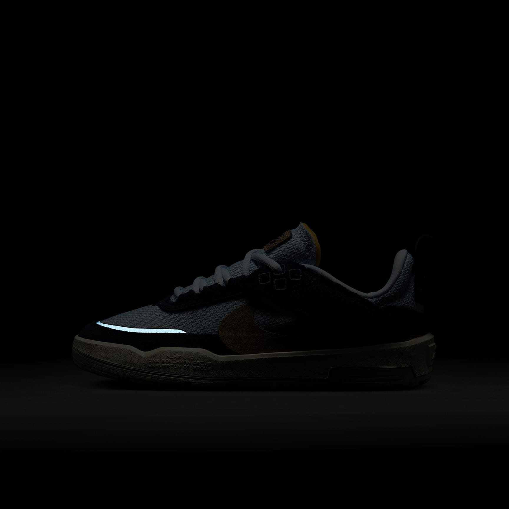 Nike SB Day One Big Kids' Skate Shoes