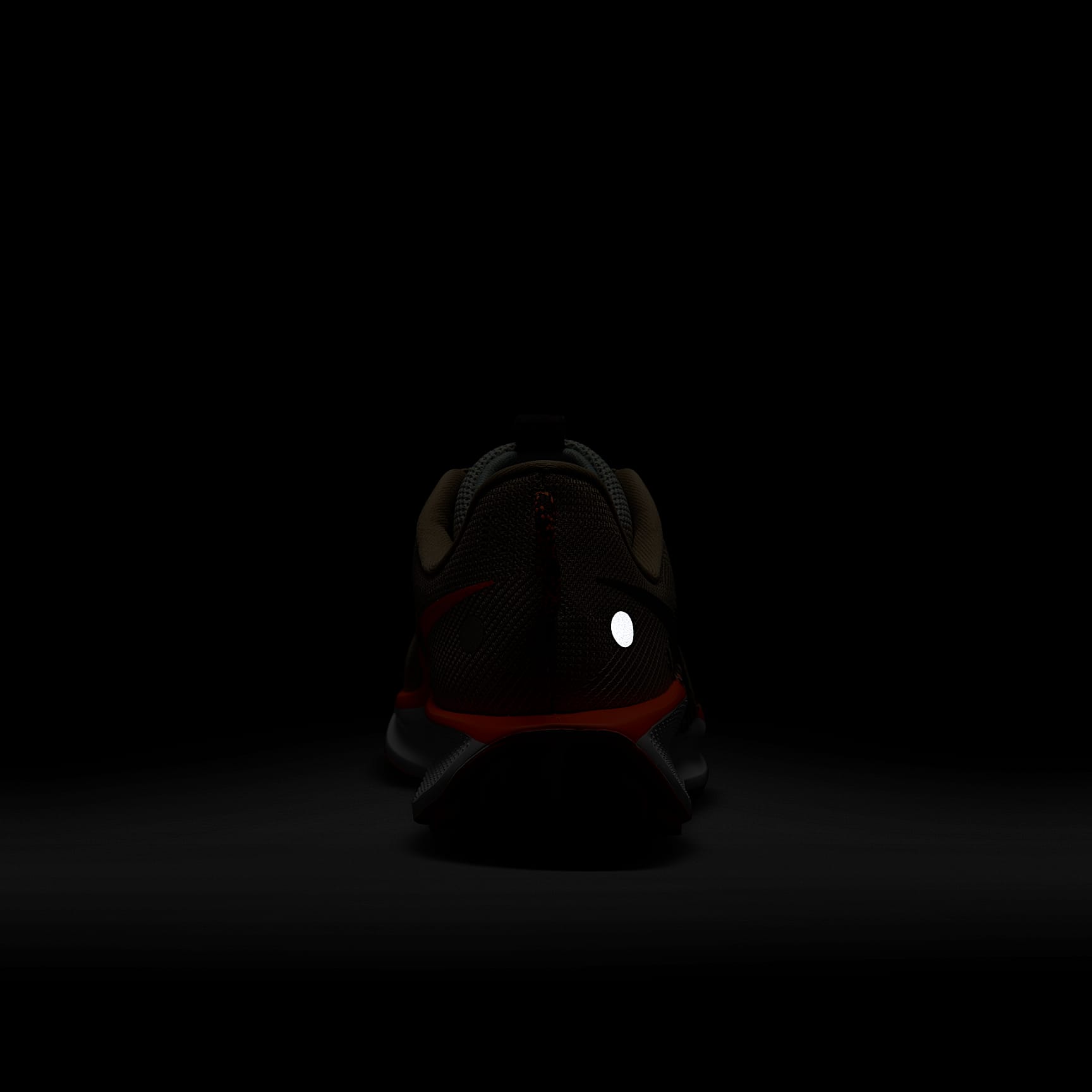 Nike Pegasus Trail 5 Women's Trail Running Shoes