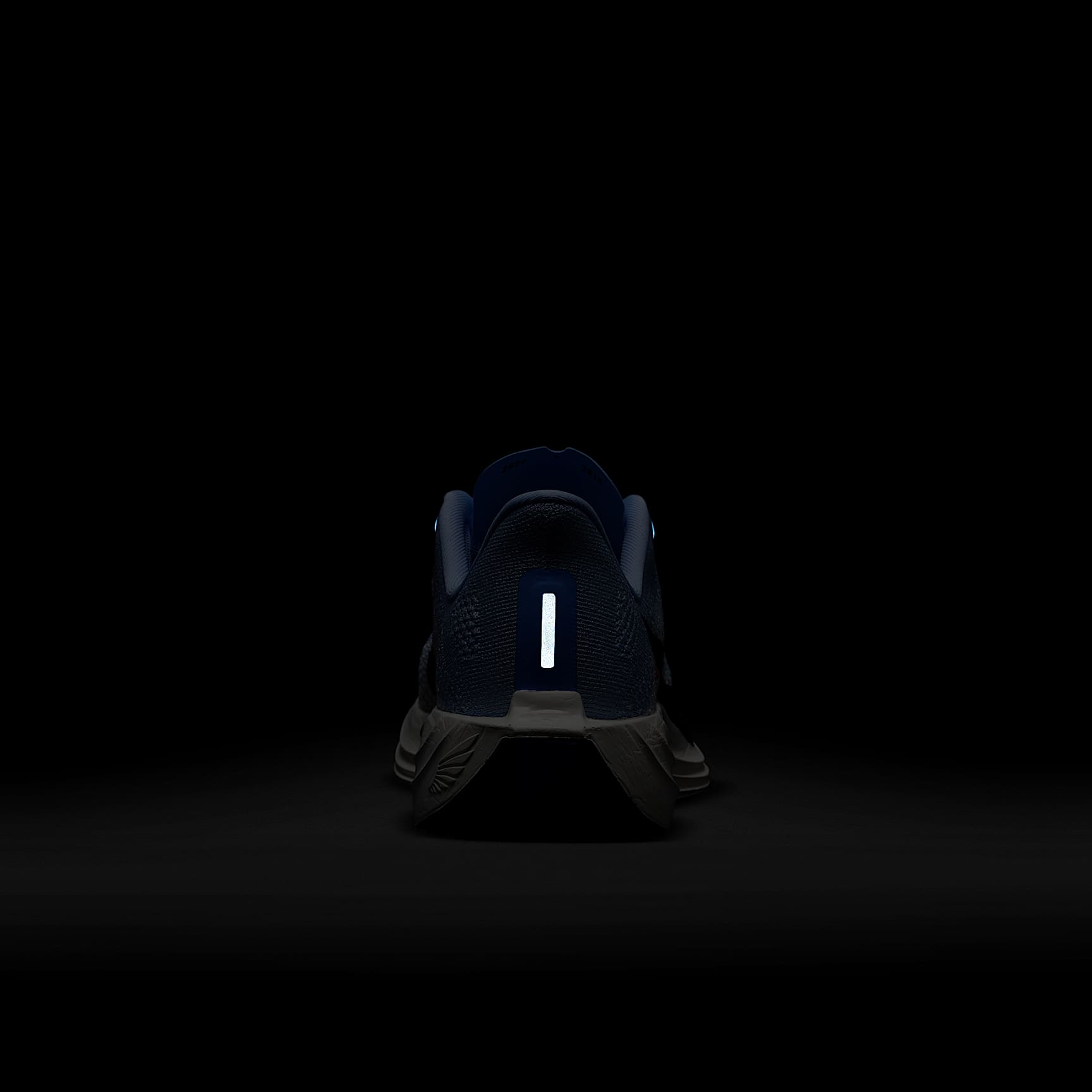 Nike Pegasus Plus Women's Road Running Shoes