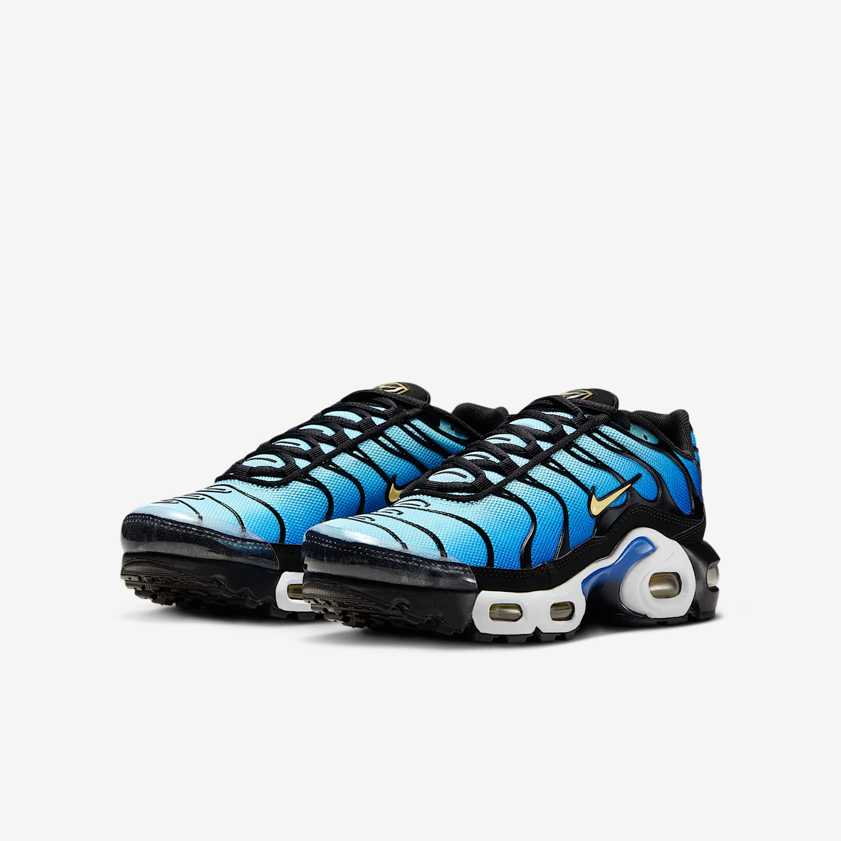 Nike Air Max Plus Big Kids' Shoes