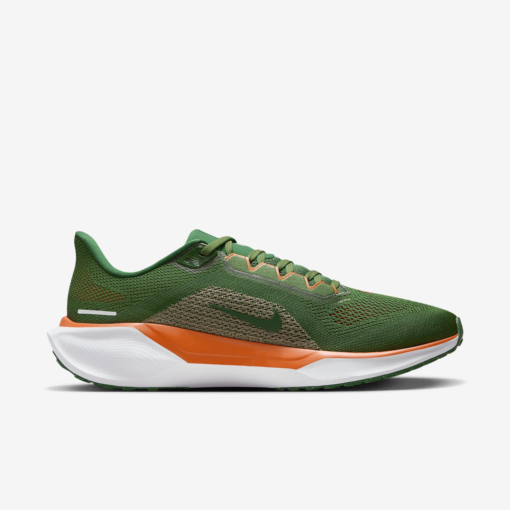 FAMU Pegasus 41 Men's Nike College Road Running Shoes