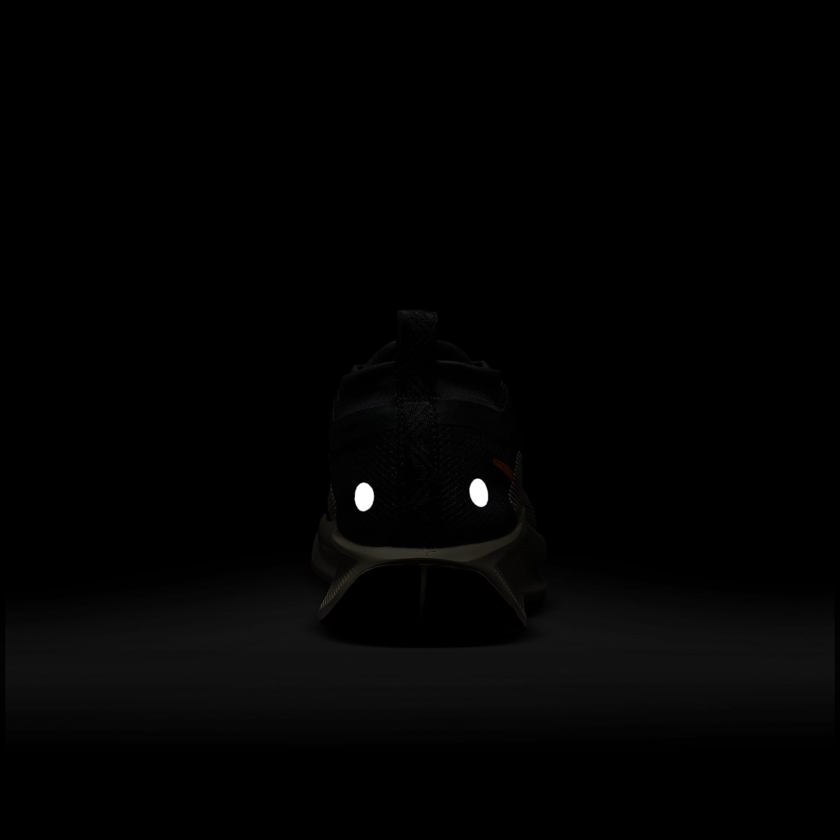 Nike Pegasus Trail 5 GORE-TEX Women's Waterproof Trail Running Shoes