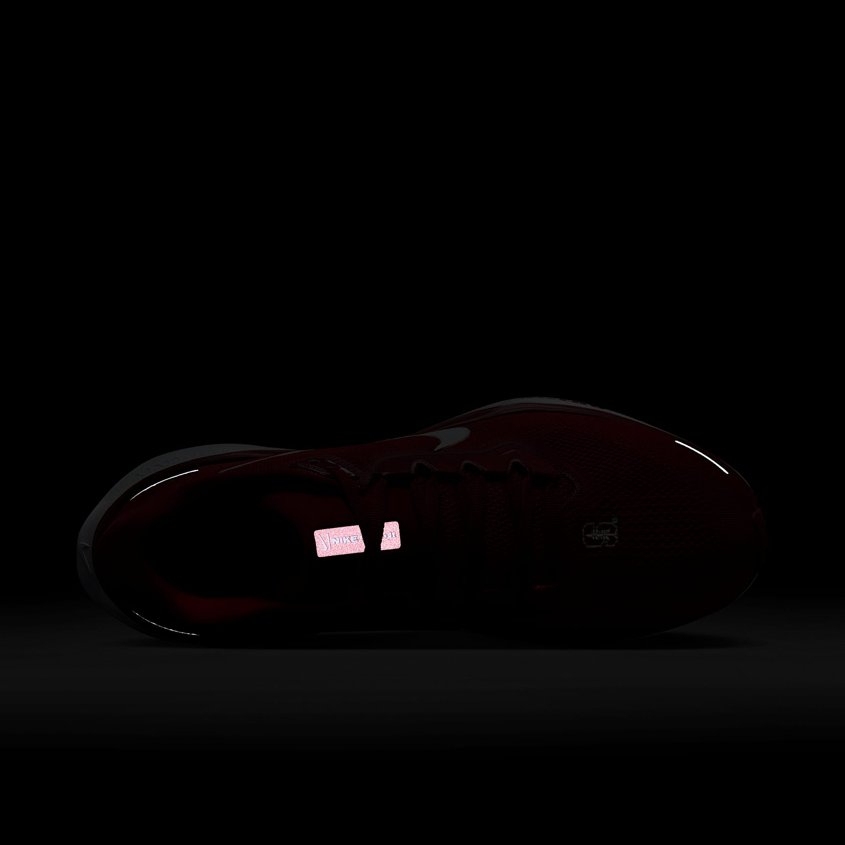 Stanford Pegasus 41 Men's Nike College Road Running Shoes