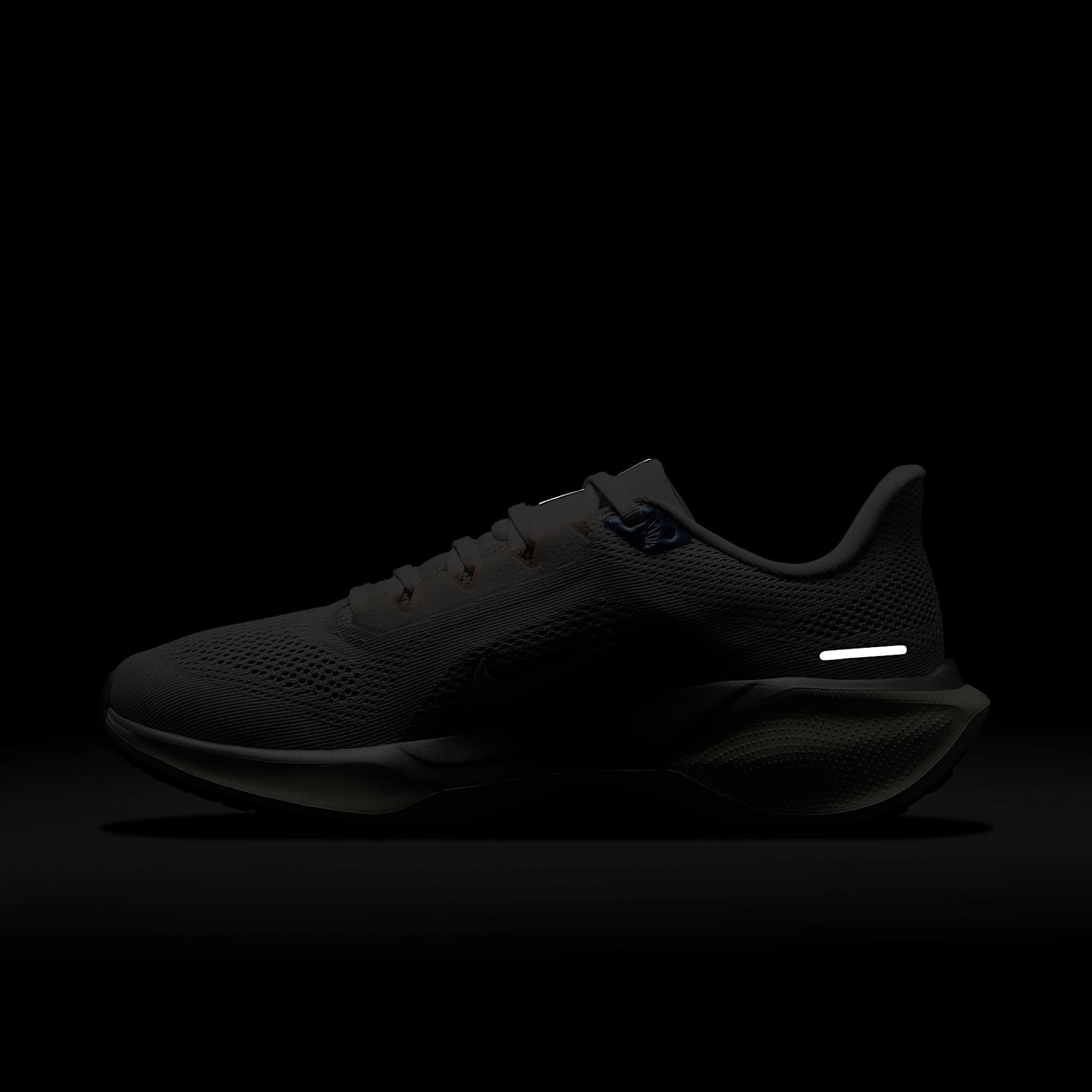 Nike Pegasus 41 Women's Road Running Shoes