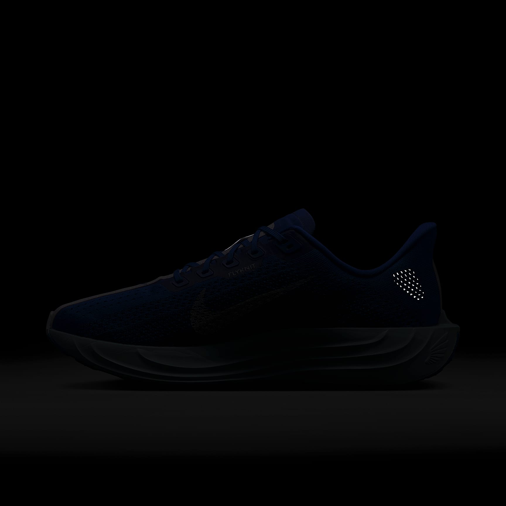 Nike Pegasus Plus Road Running Shoes