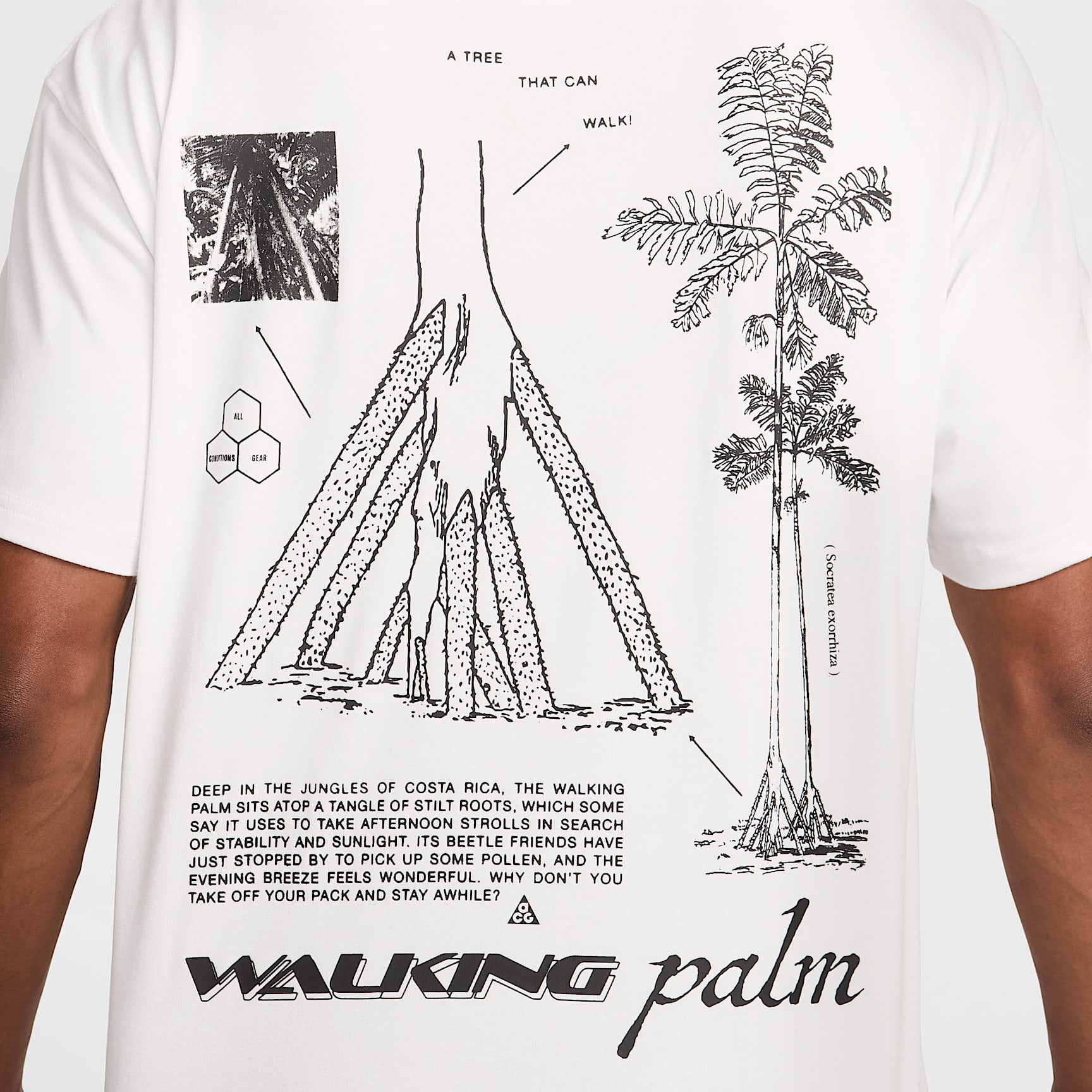 Nike ACG "Walking Tree" Men's Dri-FIT T-Shirt