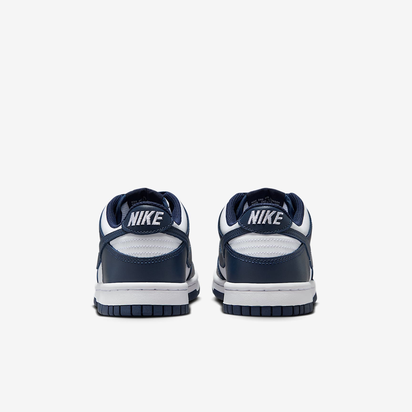 Nike Dunk Low Big Kids' Shoes