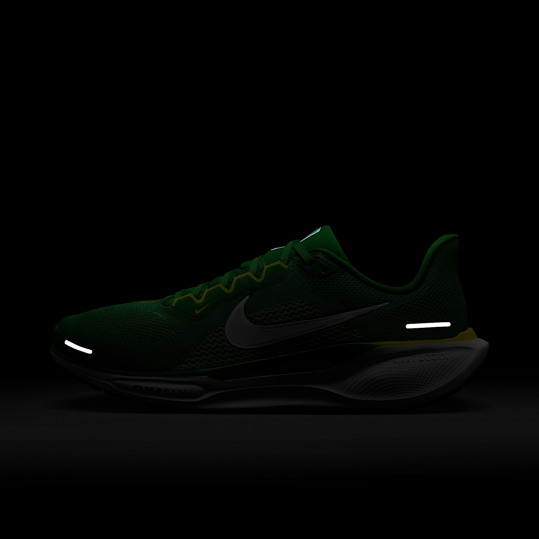 Oregon Pegasus 41 Men's Nike College Road Running Shoes