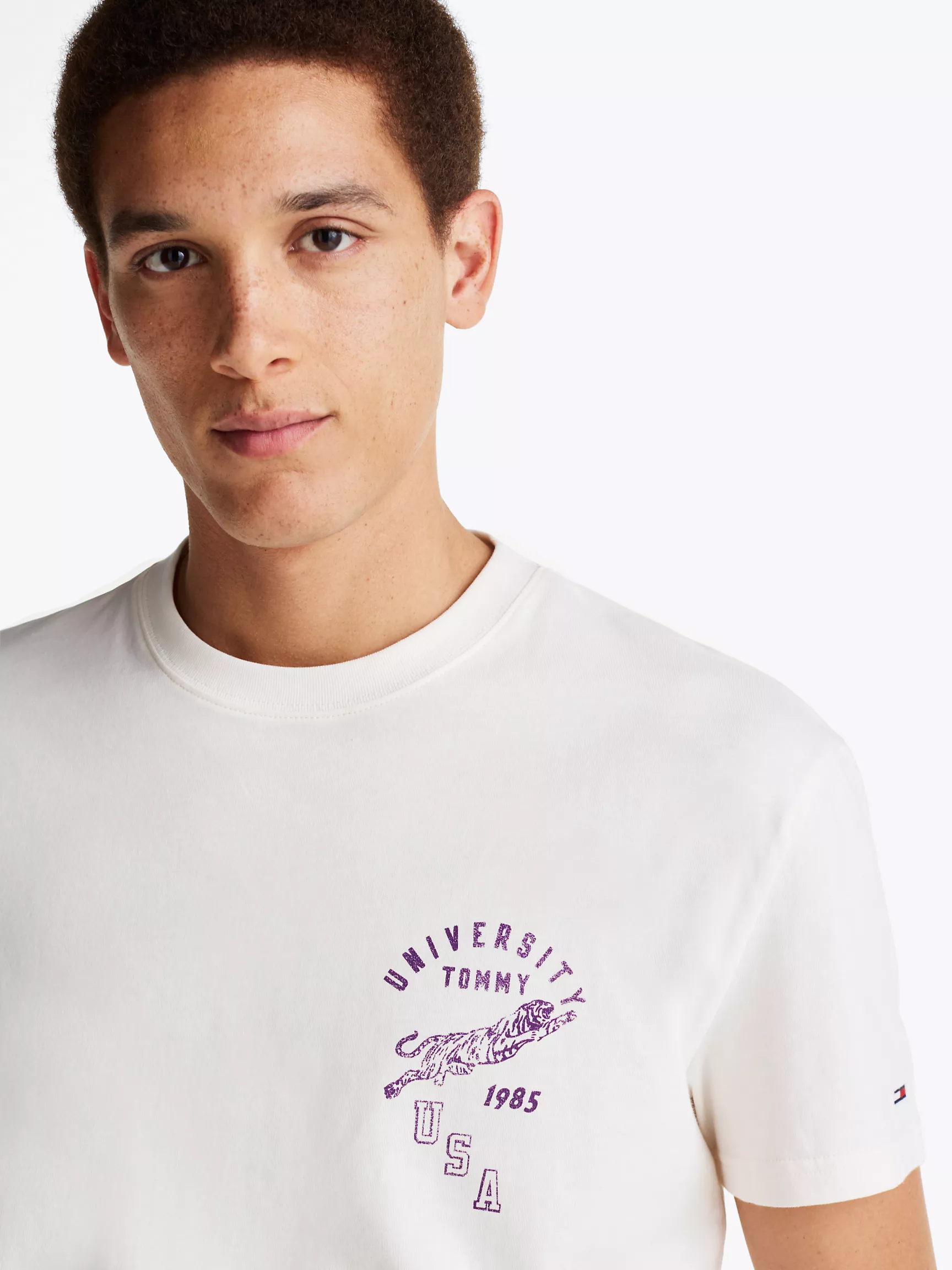 Мужская футболка Tommy Hilfiger, Футболка стандартного кроя с логотипом тигра