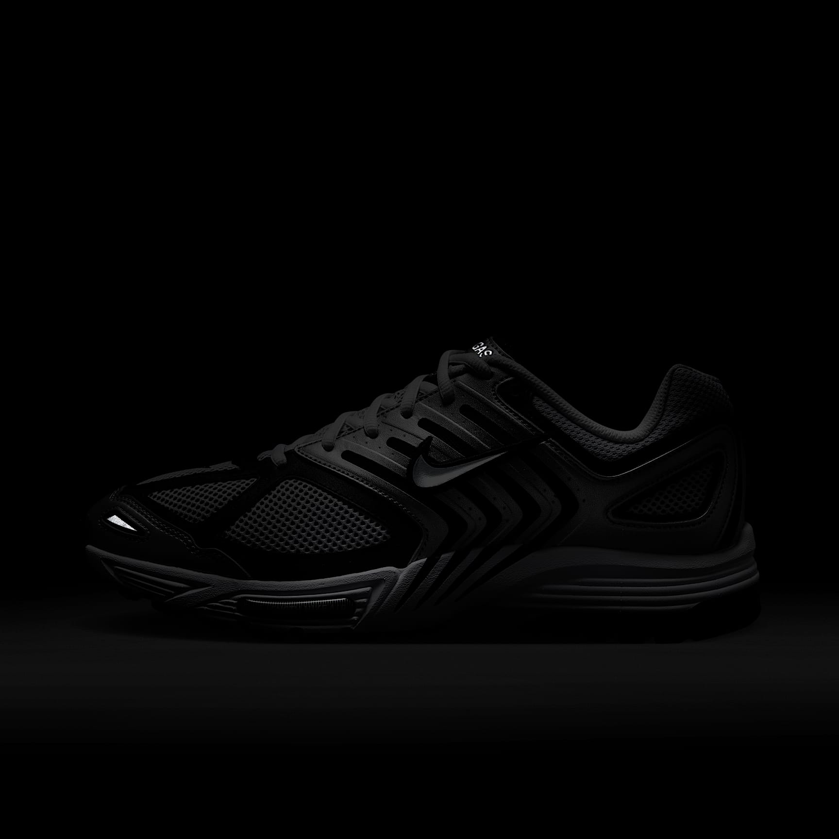 Nike Air Pegasus 2005 Men's Shoes