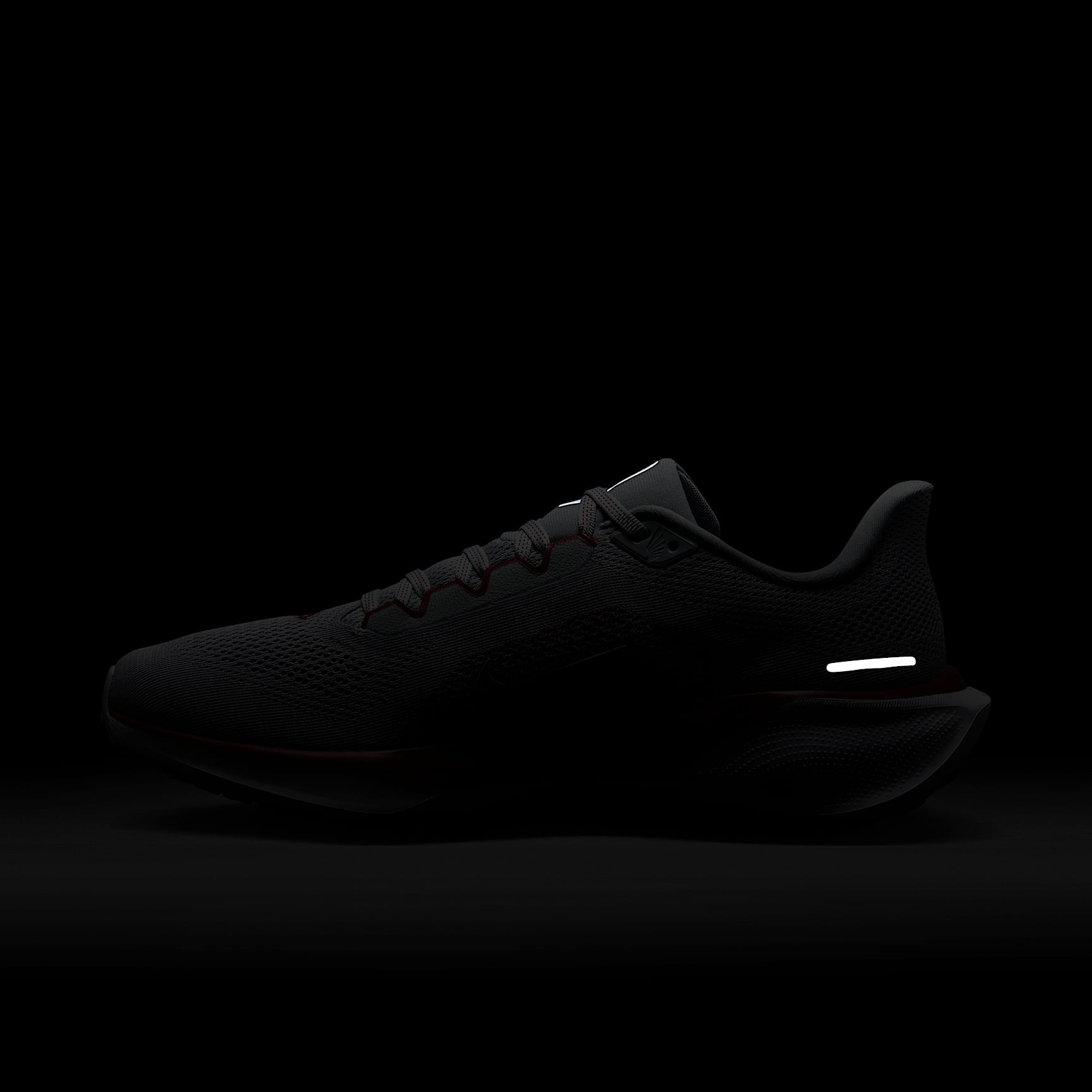 Arkansas Pegasus 41 Men's Nike College Road Running Shoes