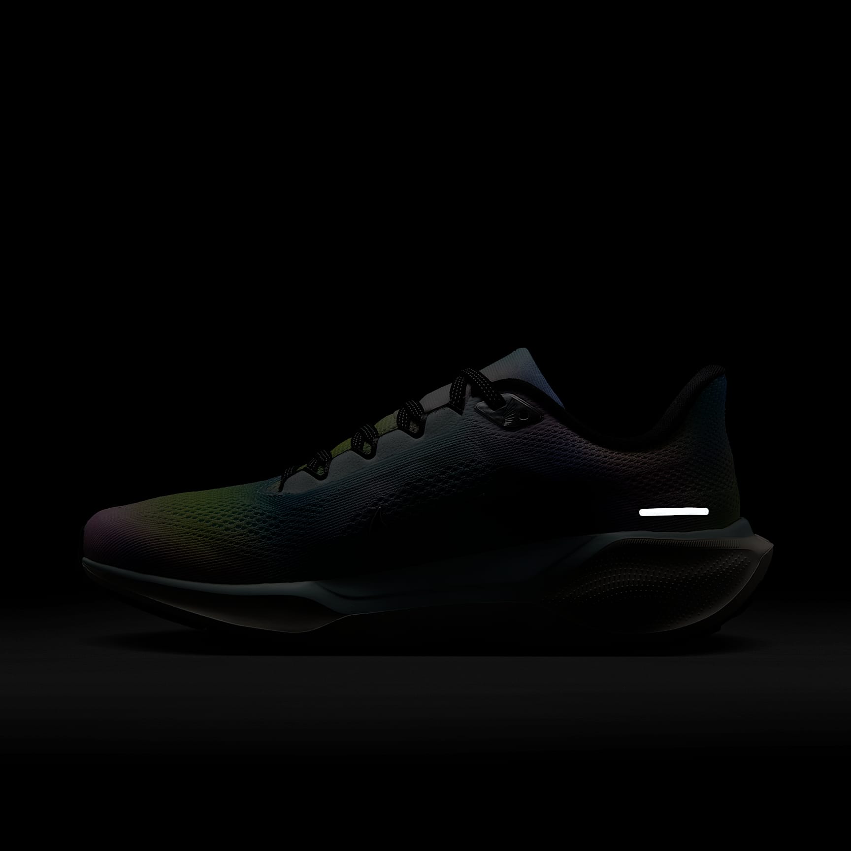 Nike Pegasus 41 SE Women's Road Running Shoes
