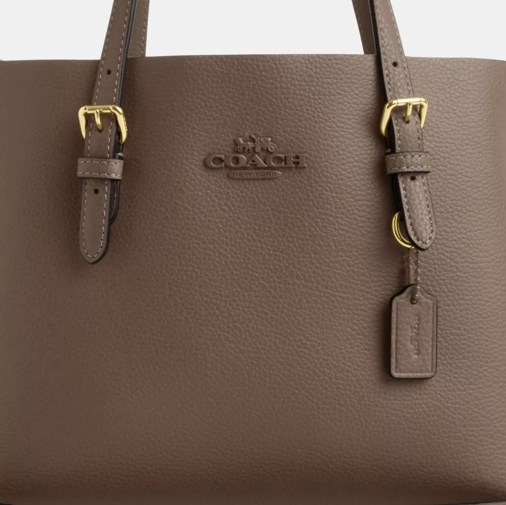 Сумка COACH Mollie Tote Bag 25
