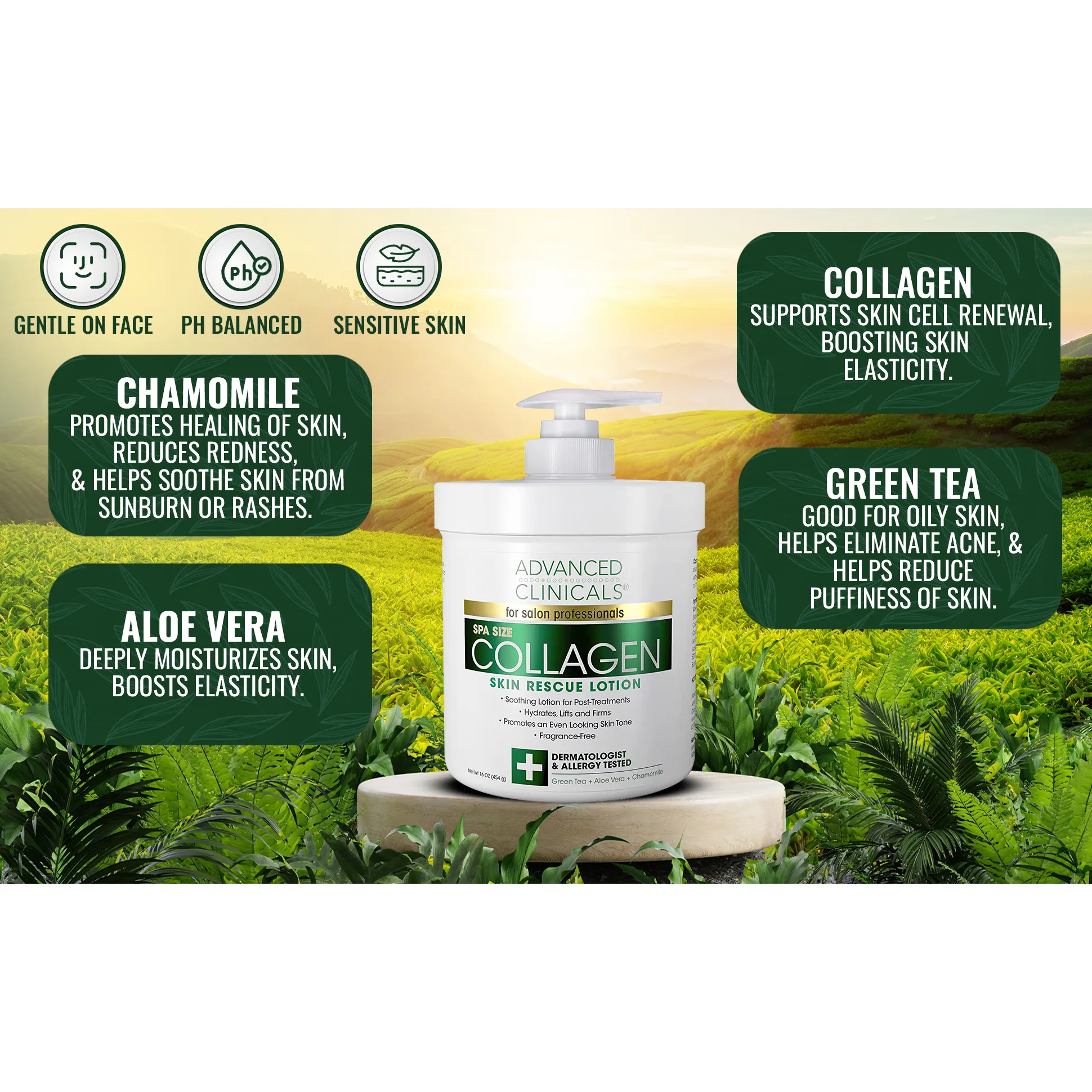 Advanced Clinicals, коллаген, лосьон для восстановления кожи, без отдушки, 454 г (16 унций)