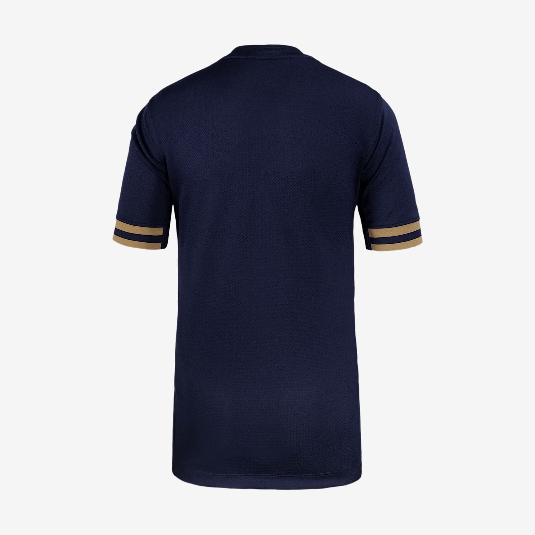 Seattle Reign FC 2025 Stadium Home Big Kids' Nike Dri-FIT NWSL Replica Jersey