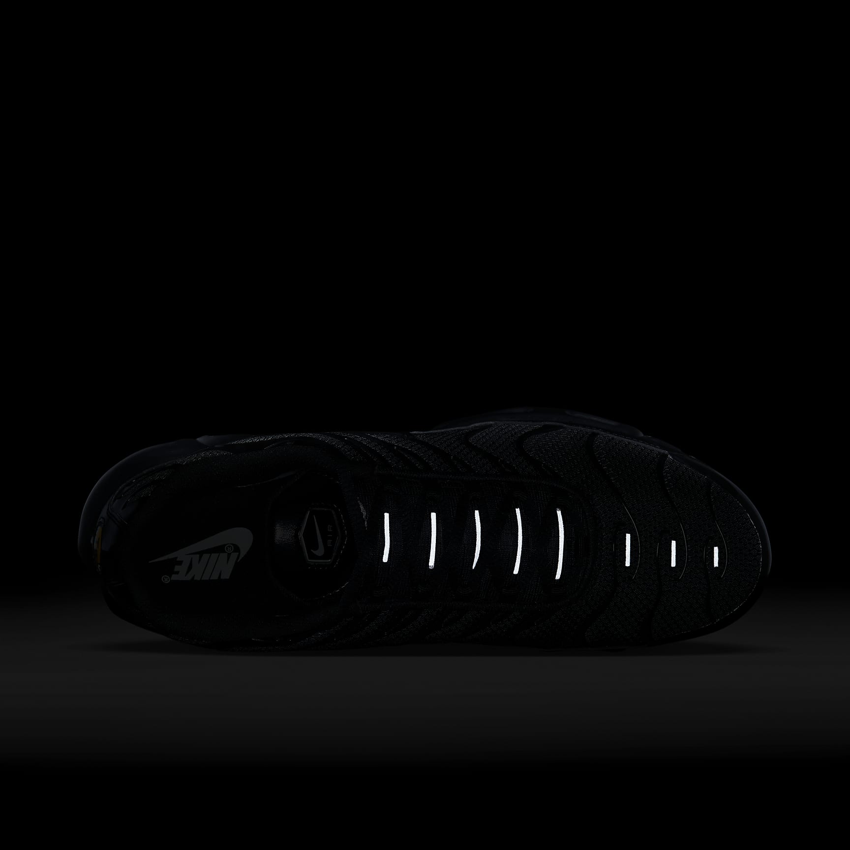 Nike Air Max Plus Men's Shoes