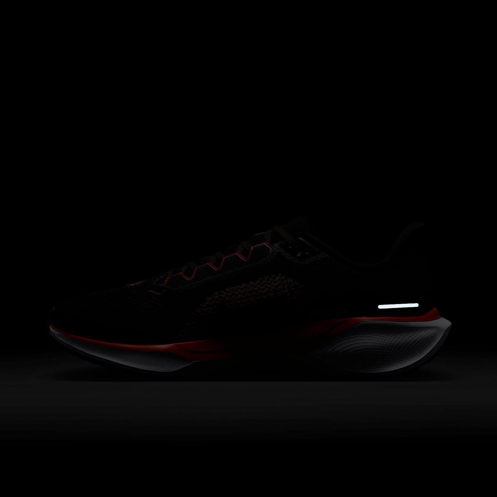 Oregon State Pegasus 41 Men's Nike College Road Running Shoes