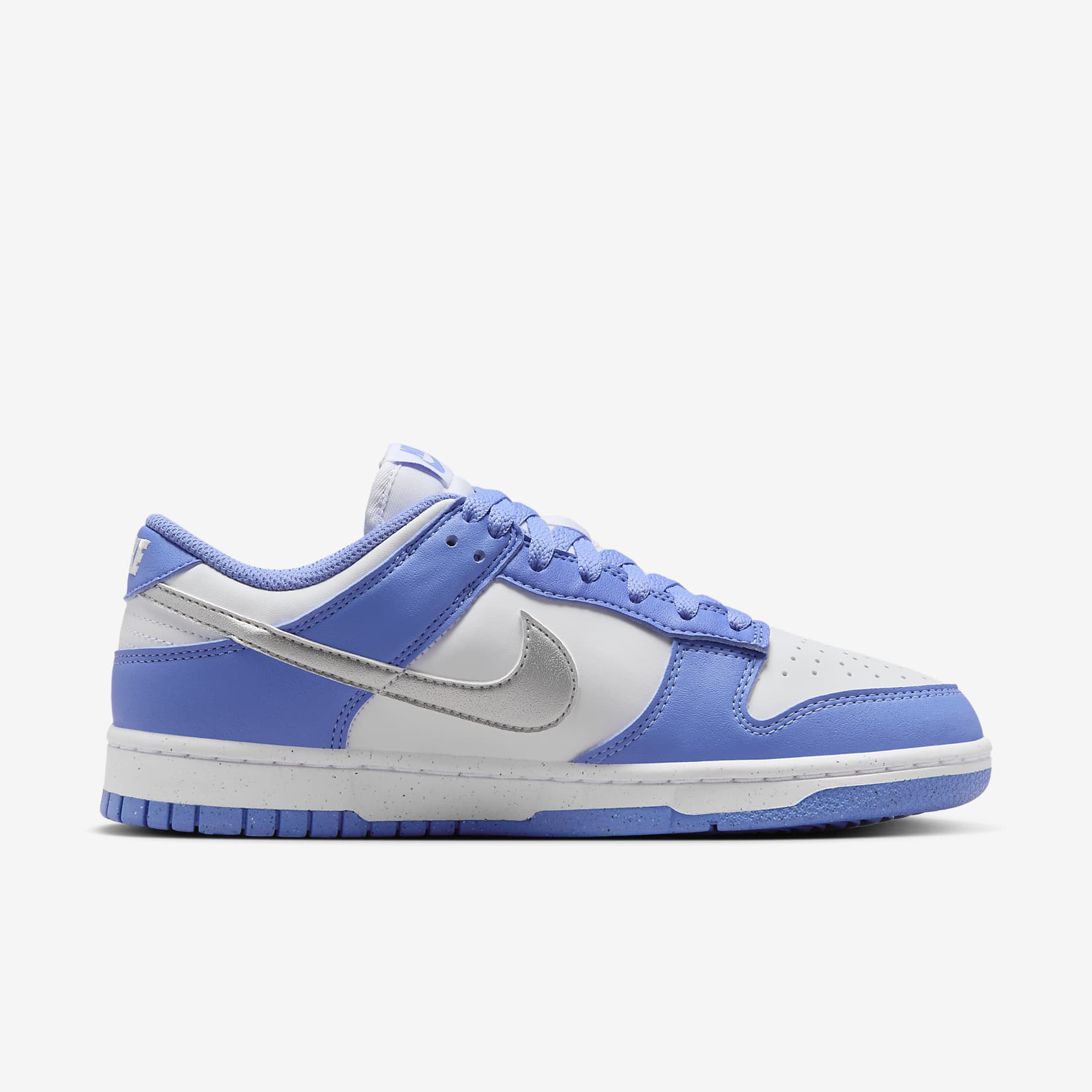 Nike Dunk Low Next Nature Women's Shoes