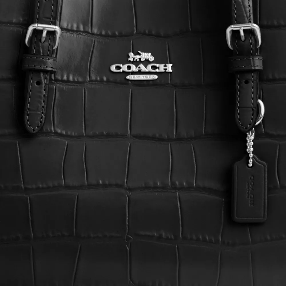 Сумка COACH Mollie Tote Bag 25