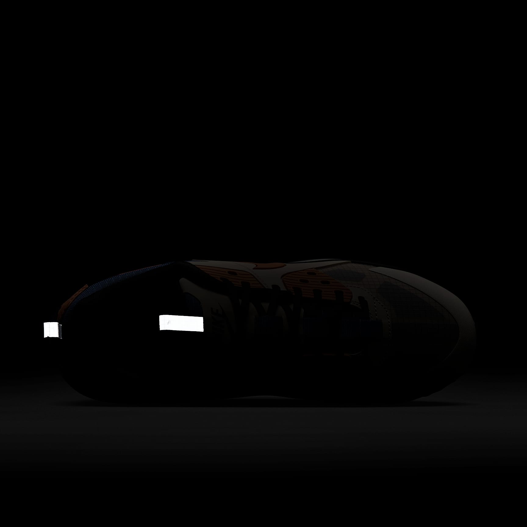 Nike Air Max 90 Drift Men's Shoes