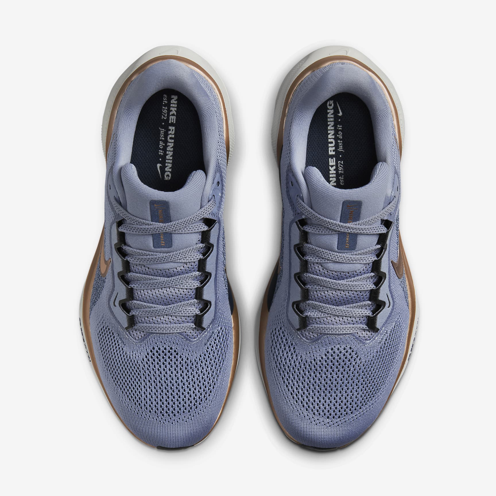 Nike Pegasus 41 Women's Road Running Shoes (Wide)