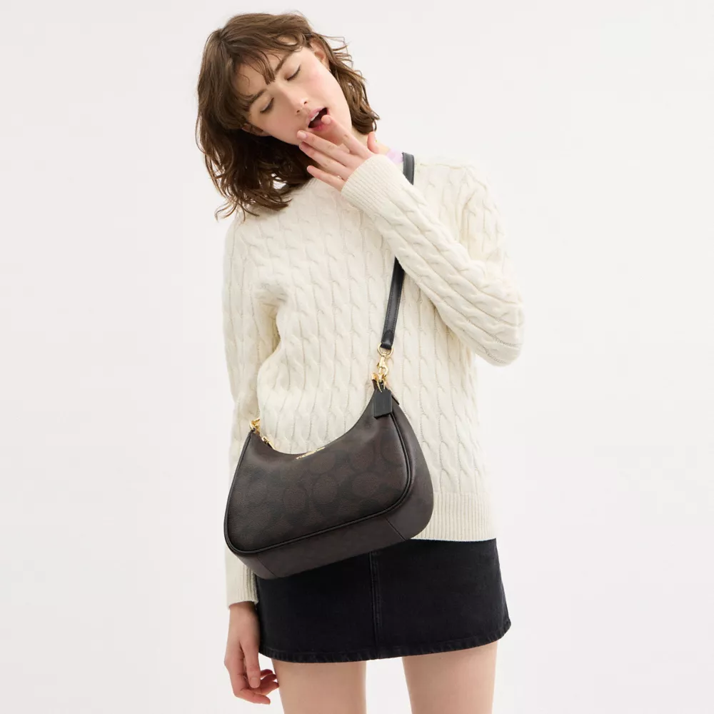 Сумка COACH Teri Hobo Bag In Blocked Signature Canvas