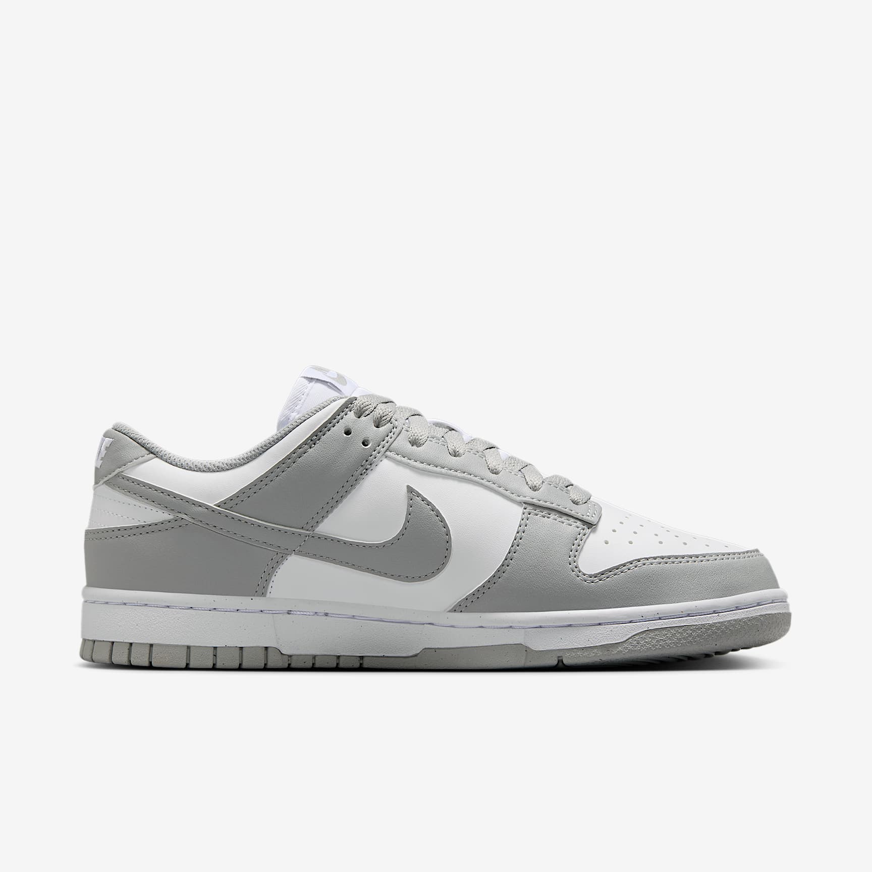 Nike Dunk Low Next Nature Women's Shoes