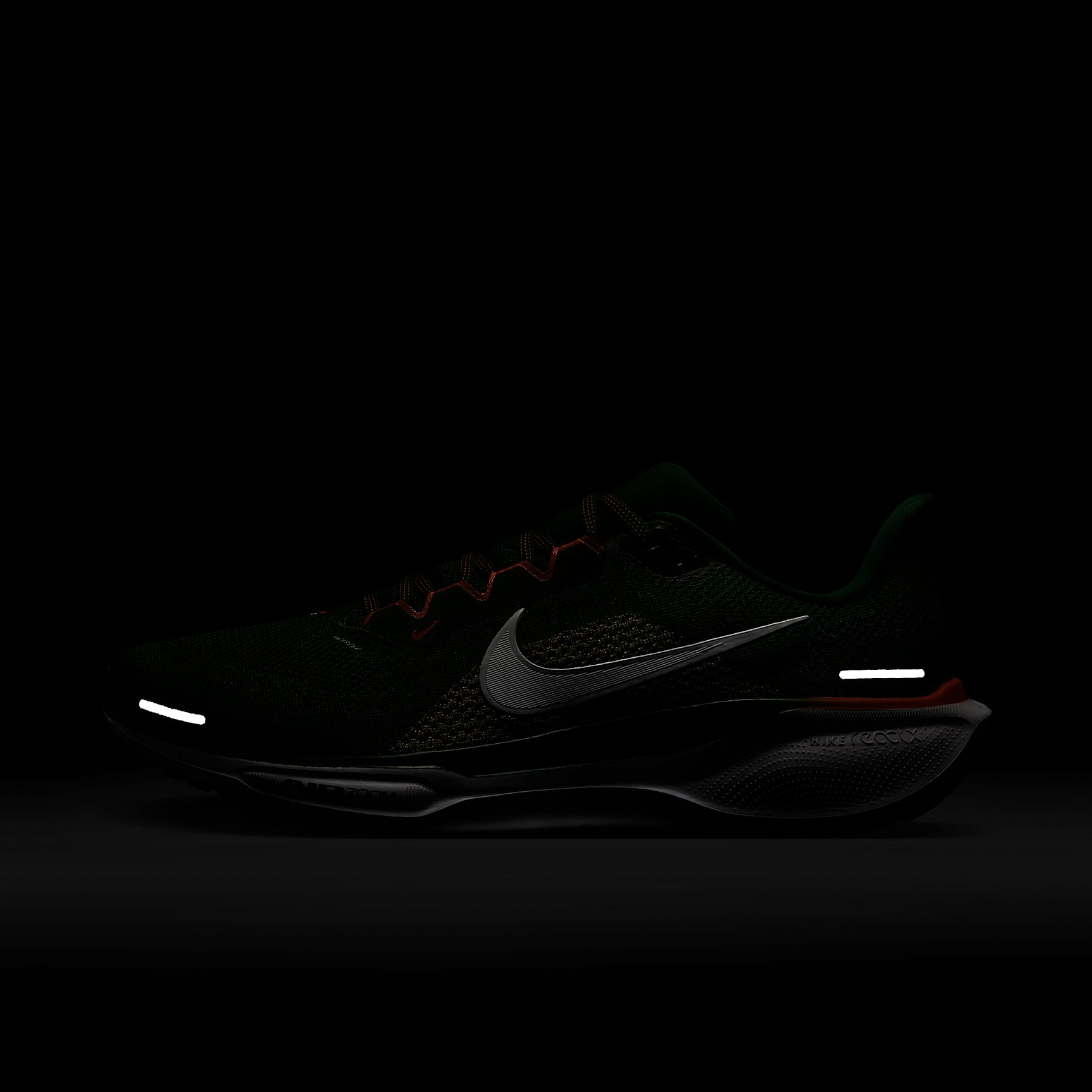 FAMU Pegasus 41 Men's Nike College Road Running Shoes