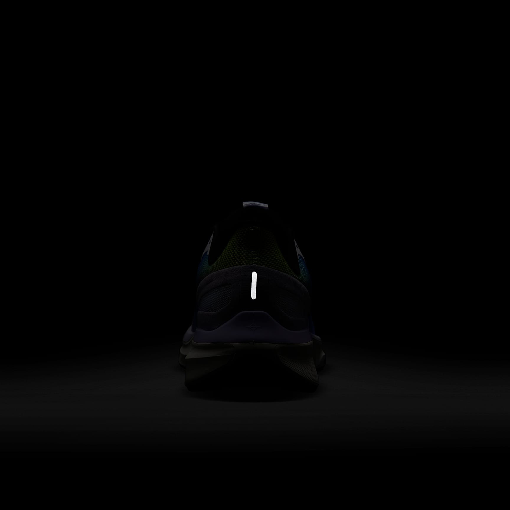 Nike Structure 25 SE Women's Road Running Shoes