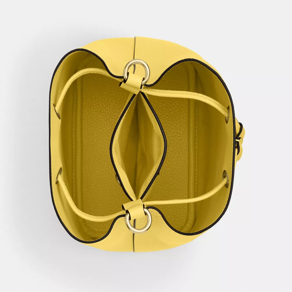 Сумка COACH Rowan Bucket Bag