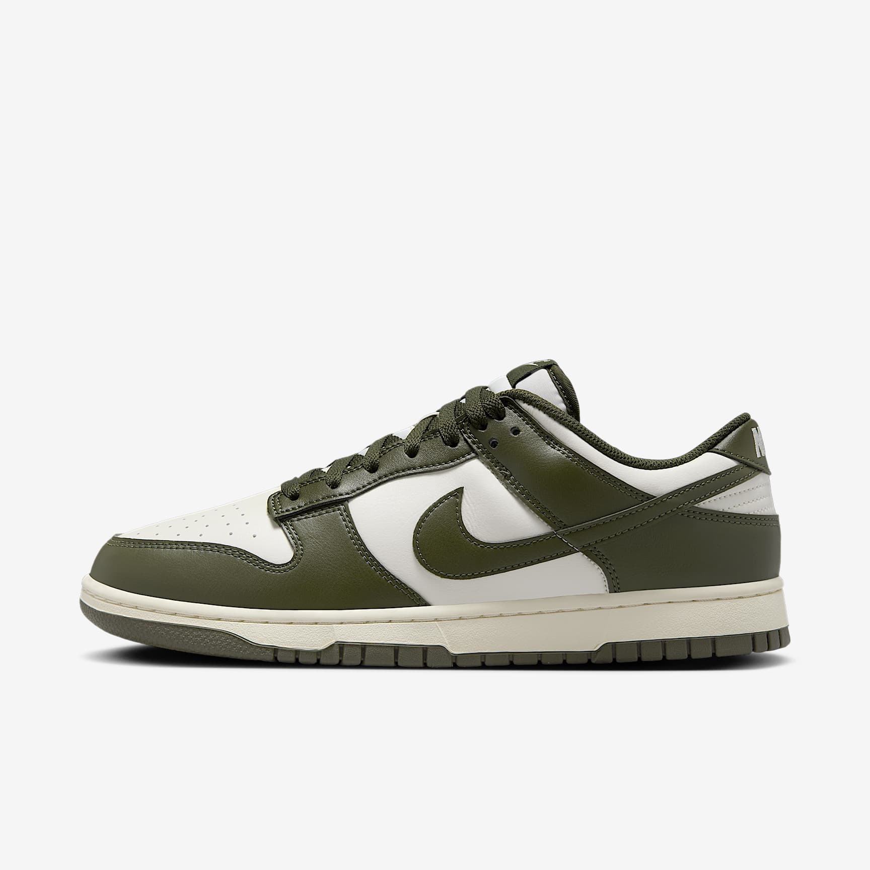 Nike Dunk Low Retro Men's Shoes