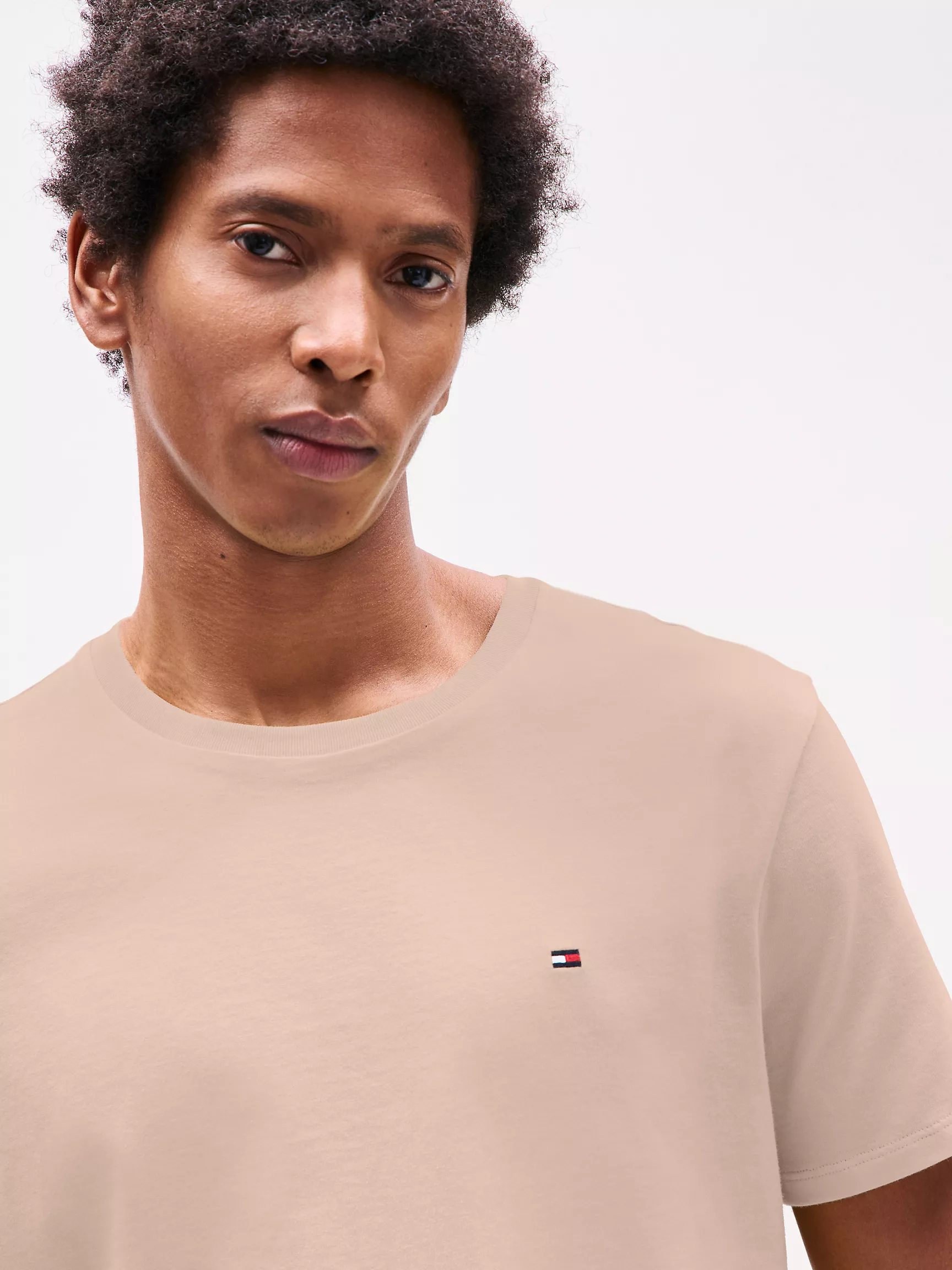 Мужская футболка Tommy Hilfiger, Повседневная футболка