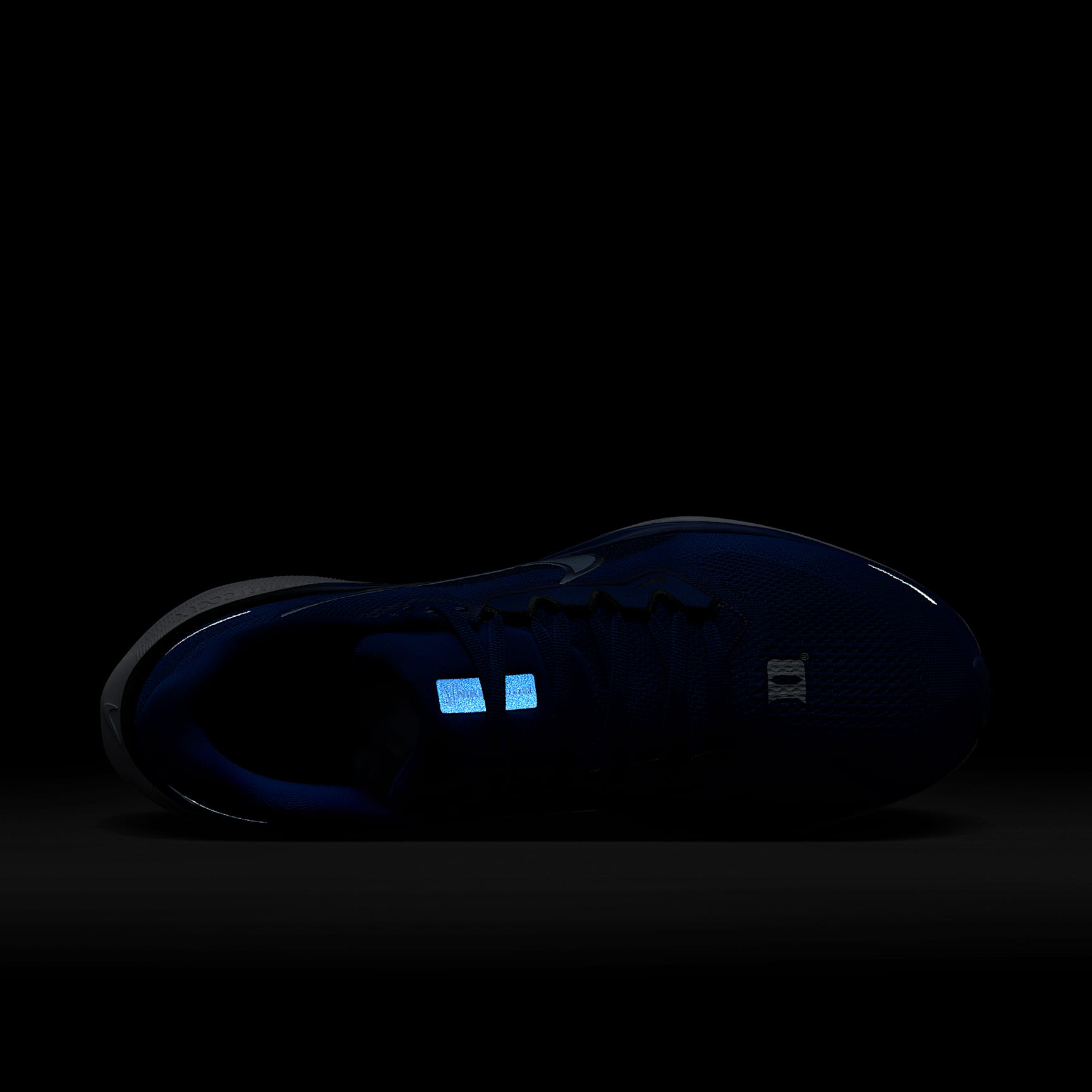 Duke Pegasus 41 Men's Nike College Road Running Shoes