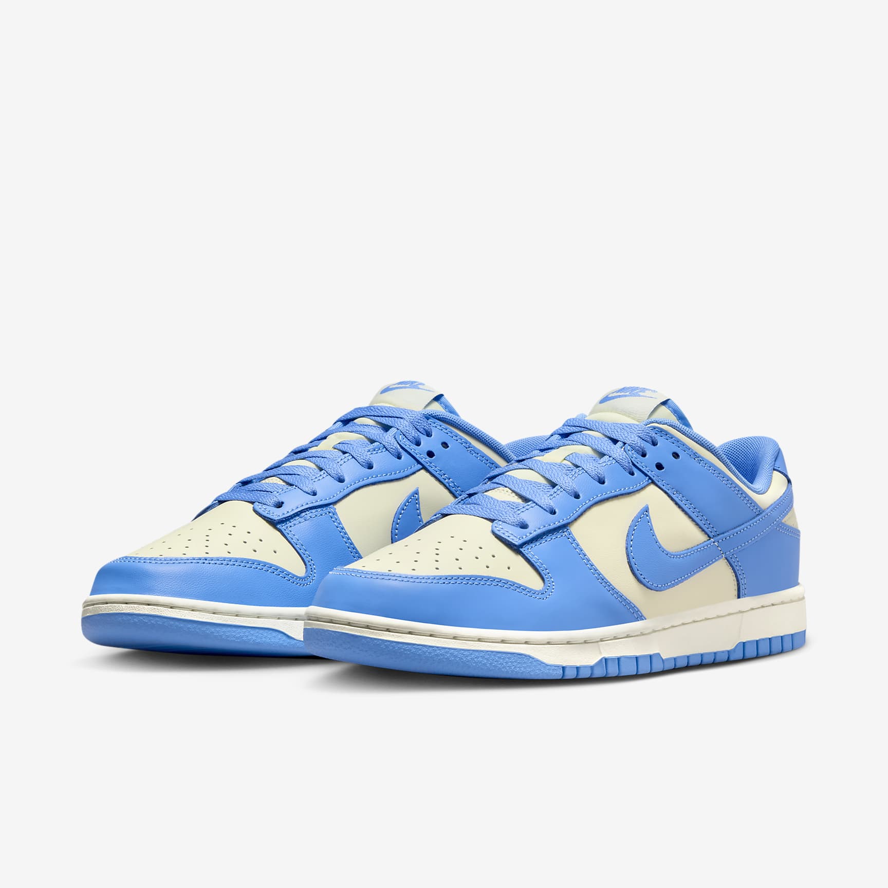 Nike Dunk Low Retro Men's Shoes