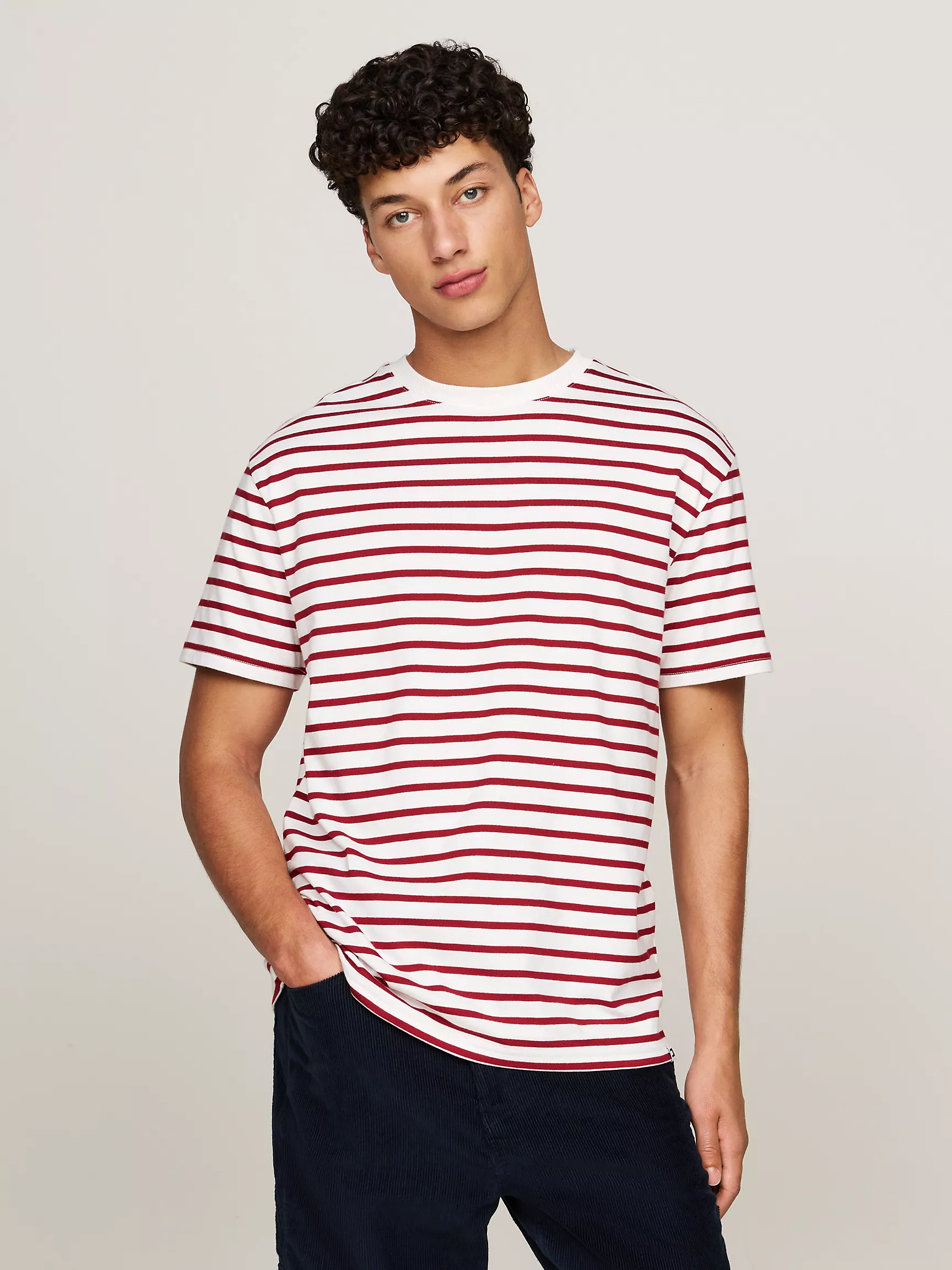 Мужская футболка Tommy Hilfiger, Морская полосатая футболка TJ