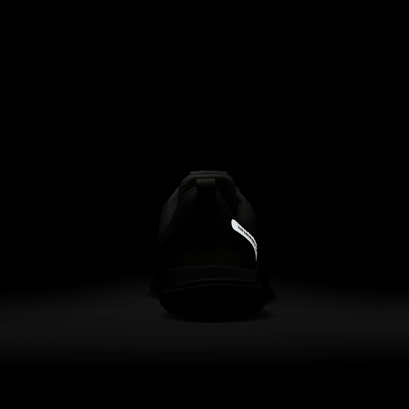 Nike Flex Experience Run 12 Women's Road Running Shoes