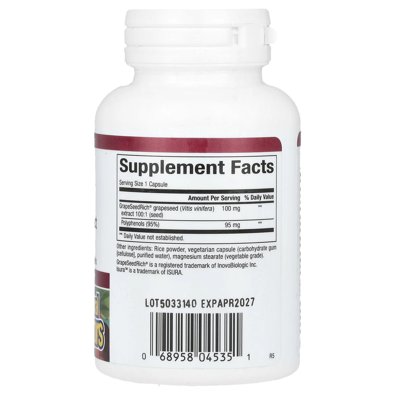 Natural Factors, GrapeSeedRich, экстракт виноградных косточек, 100 мг, 60 вегетарианских капсул