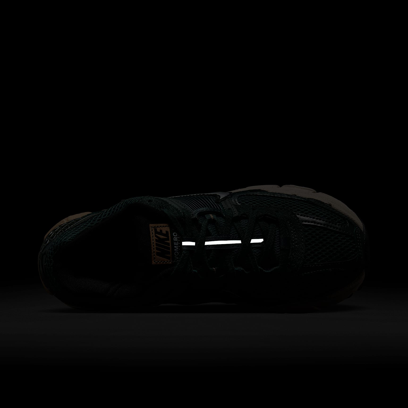 Nike Zoom Vomero 5 Women's Shoes