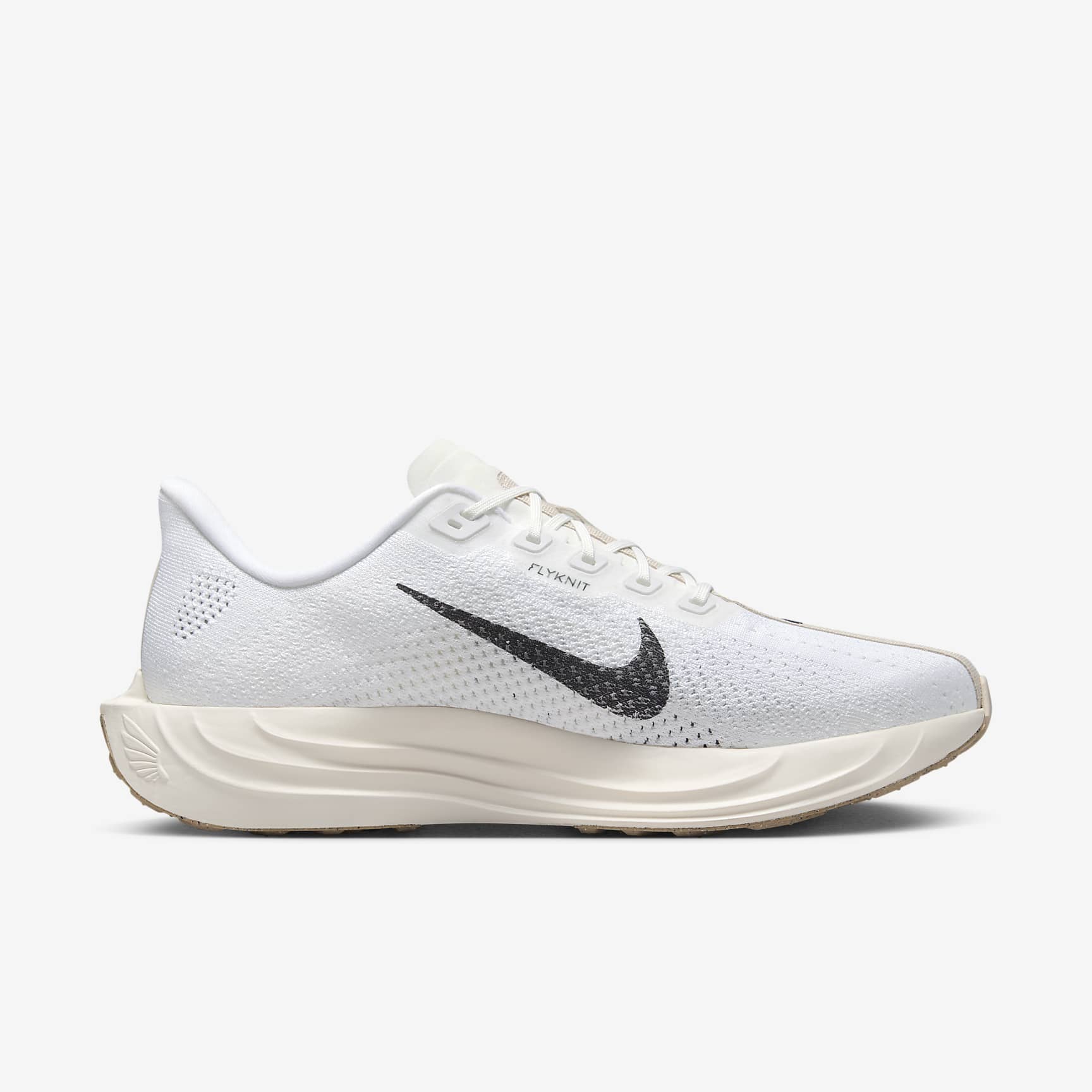 Nike Pegasus Plus Men's Road Running Shoes